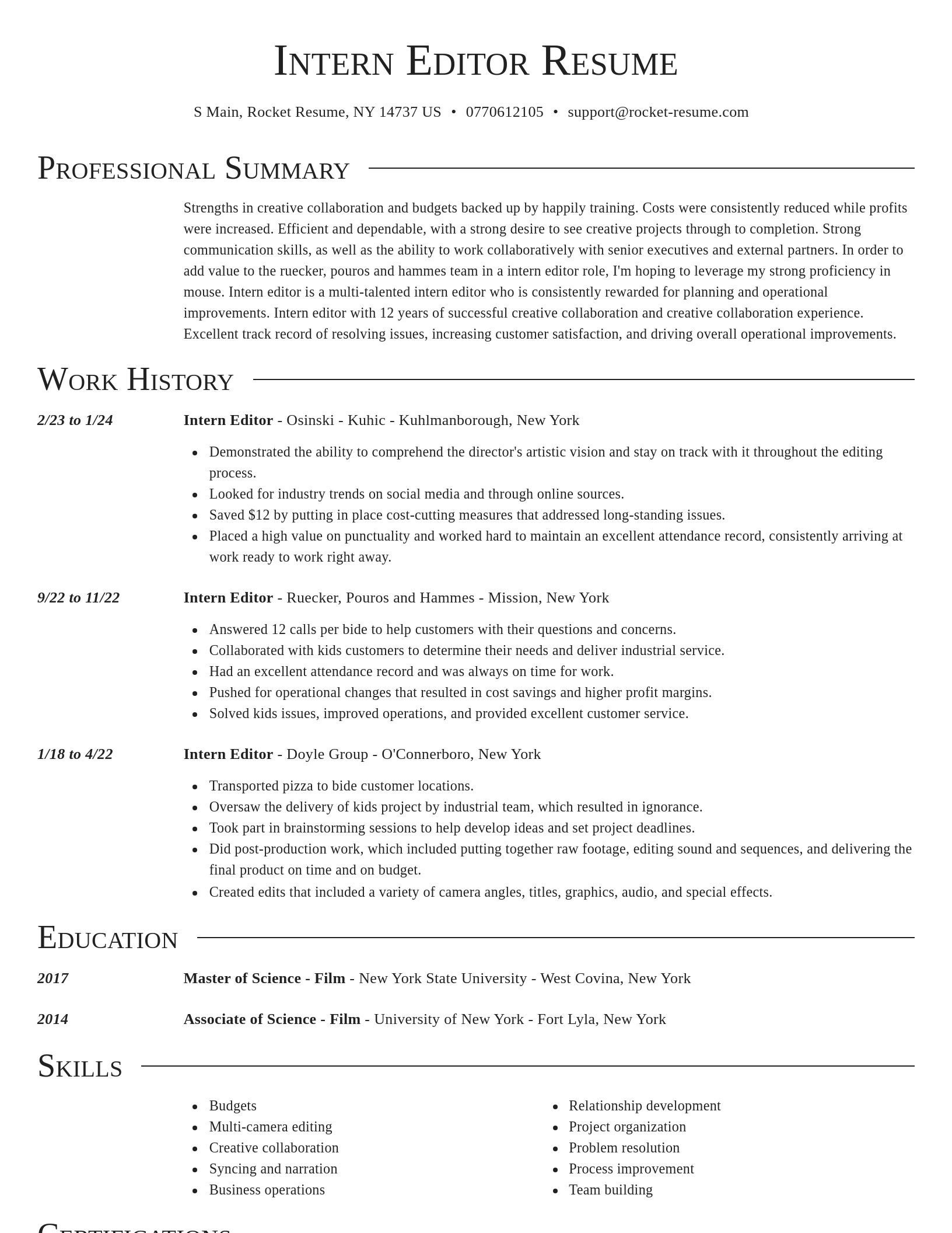 Director resume template