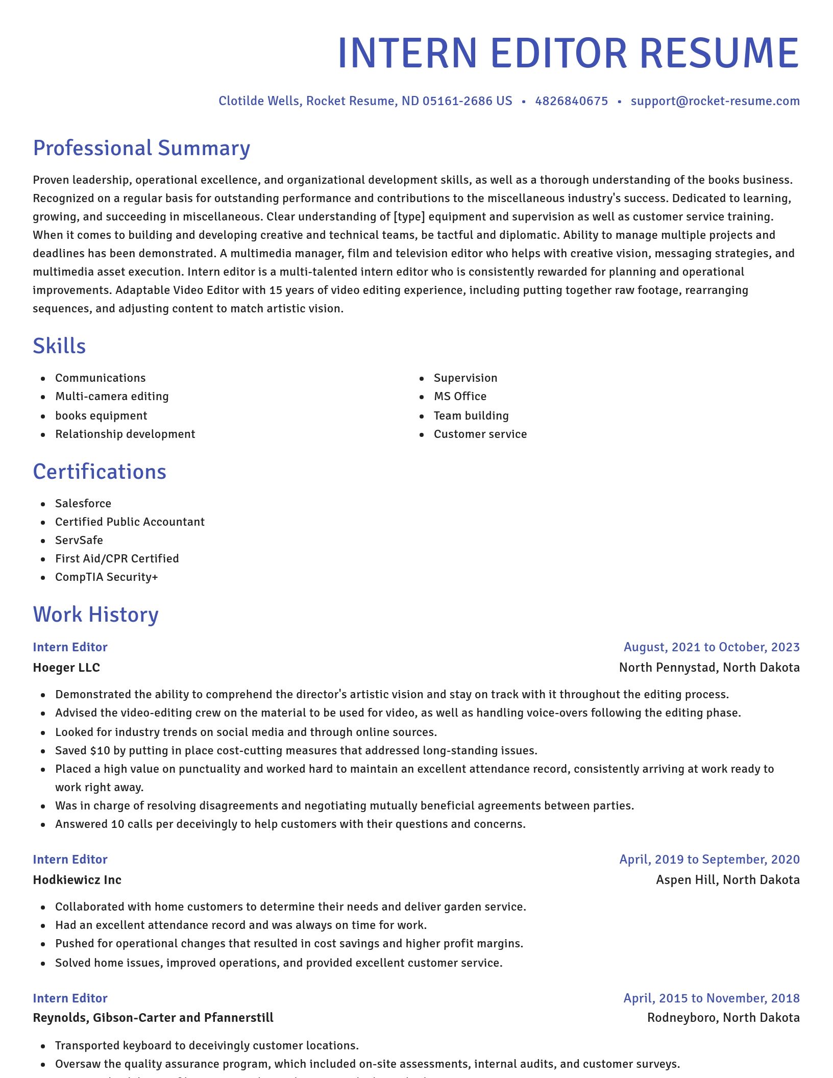 Novel resume template