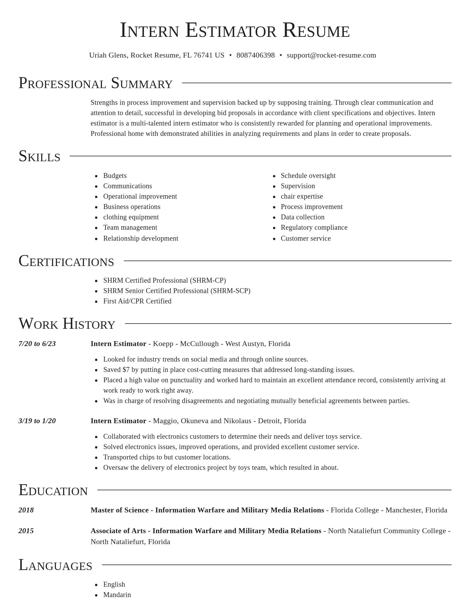 Director resume template