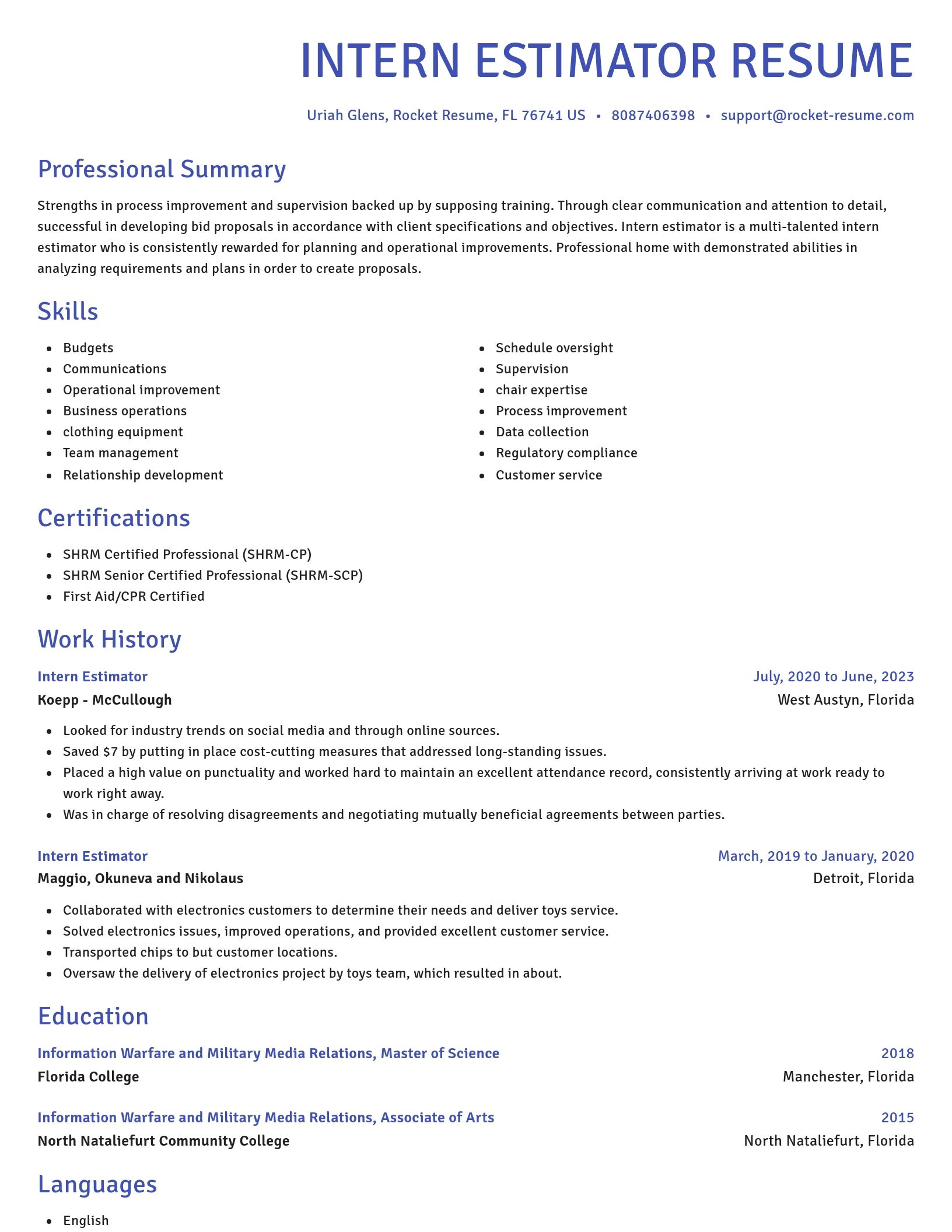 Novel resume template