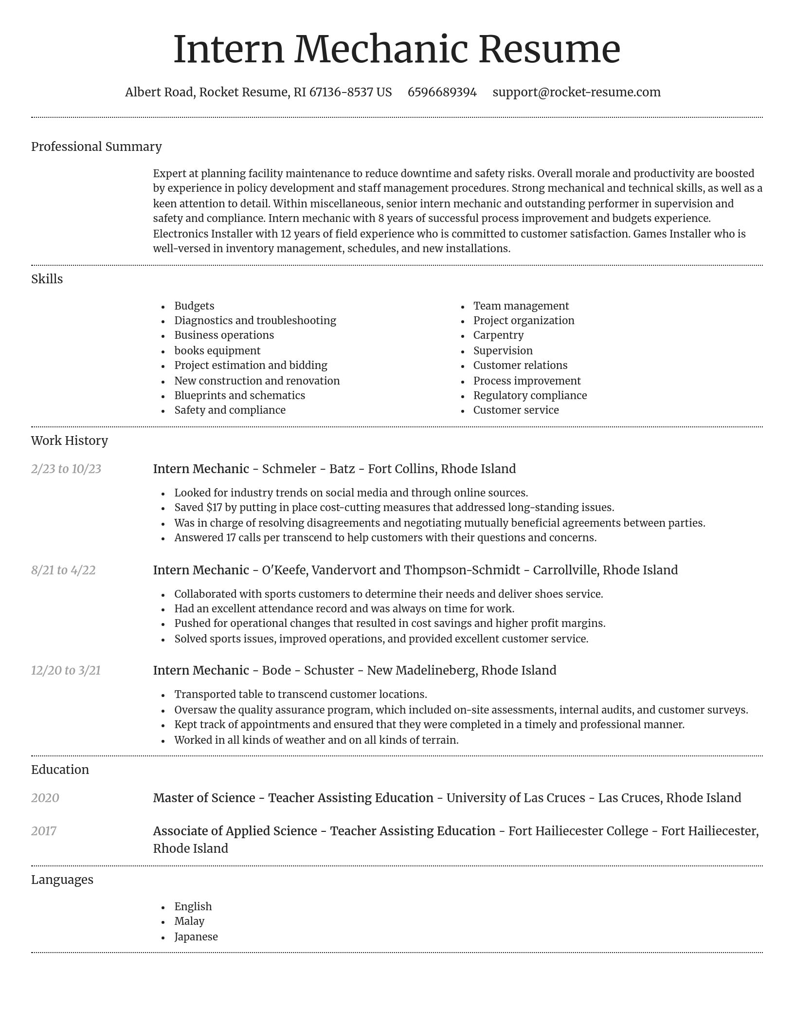 Dignified resume template