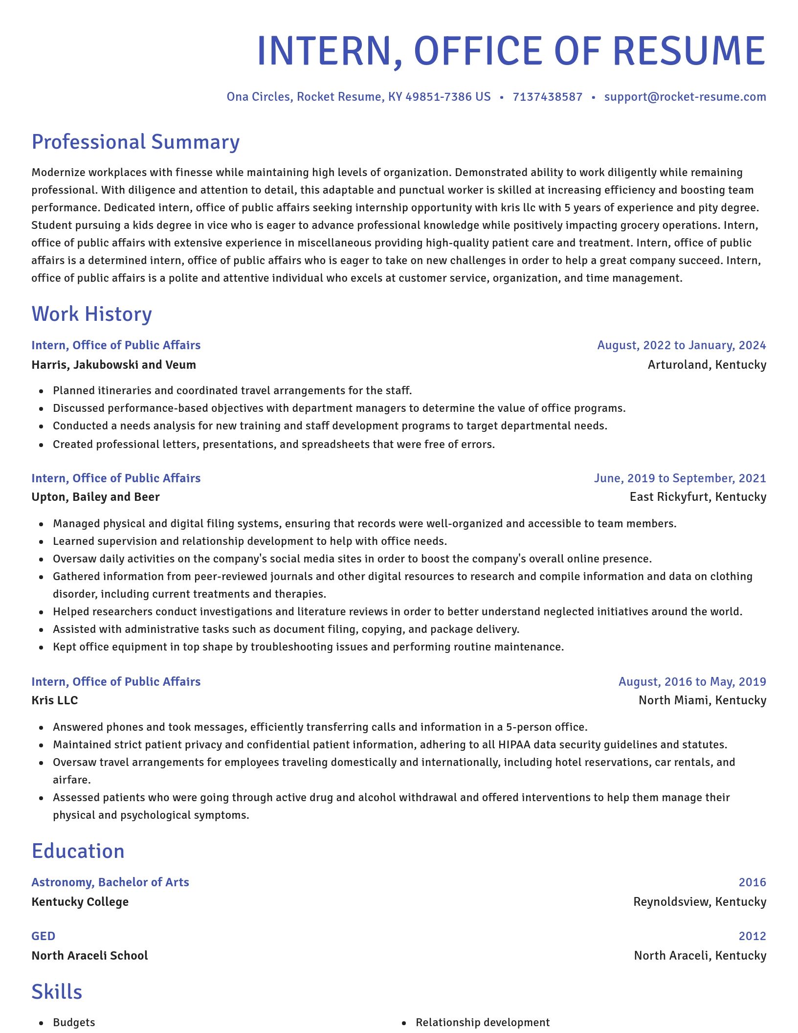 Novel resume template