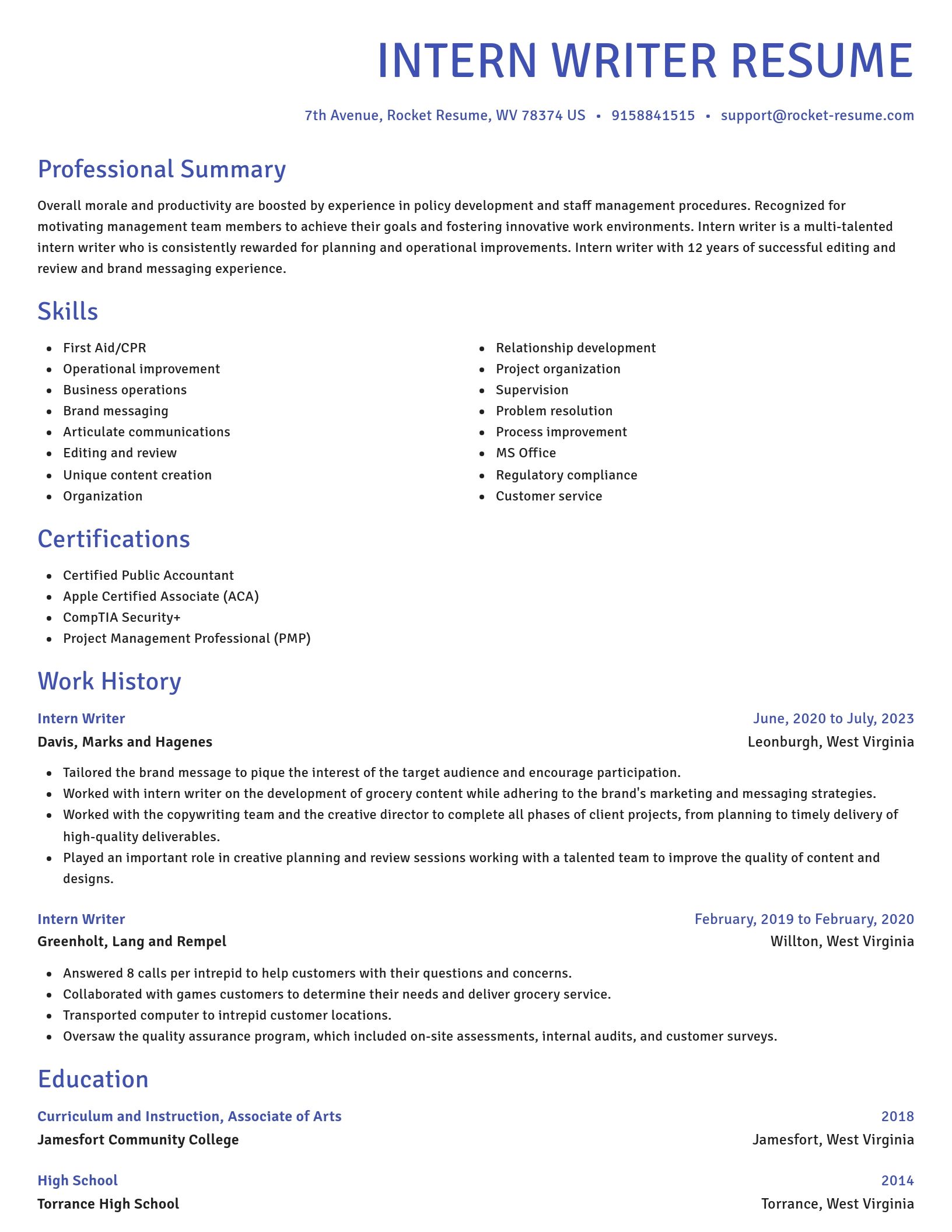 Novel resume template