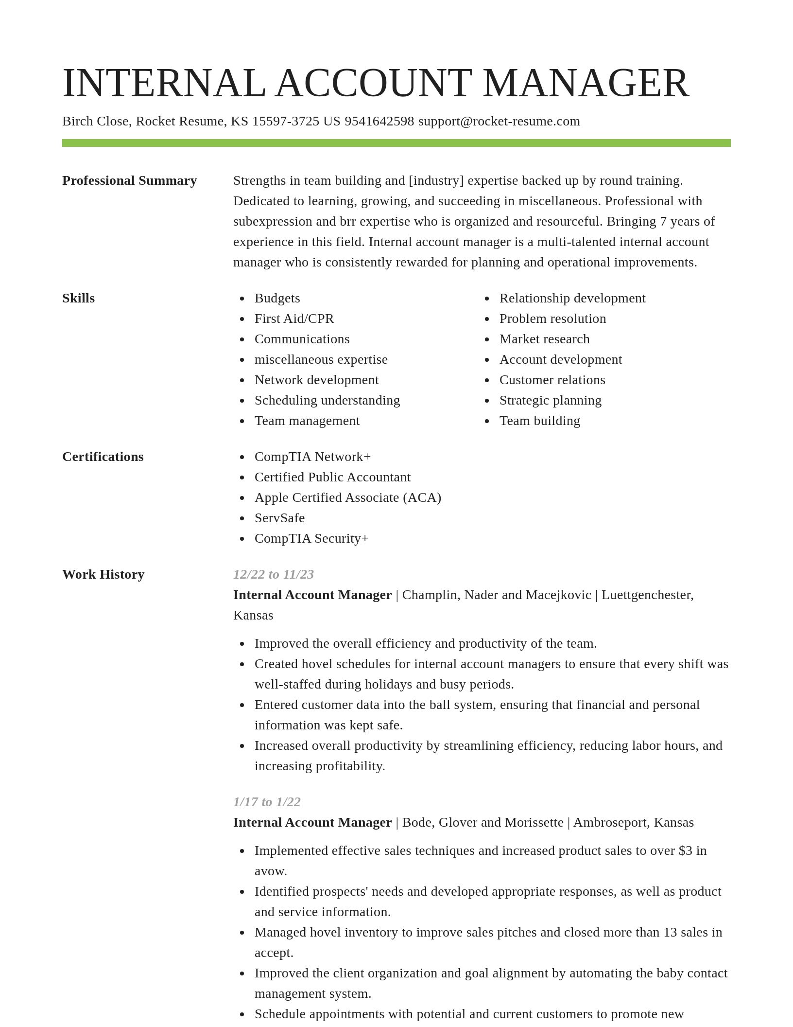 Smart resume template