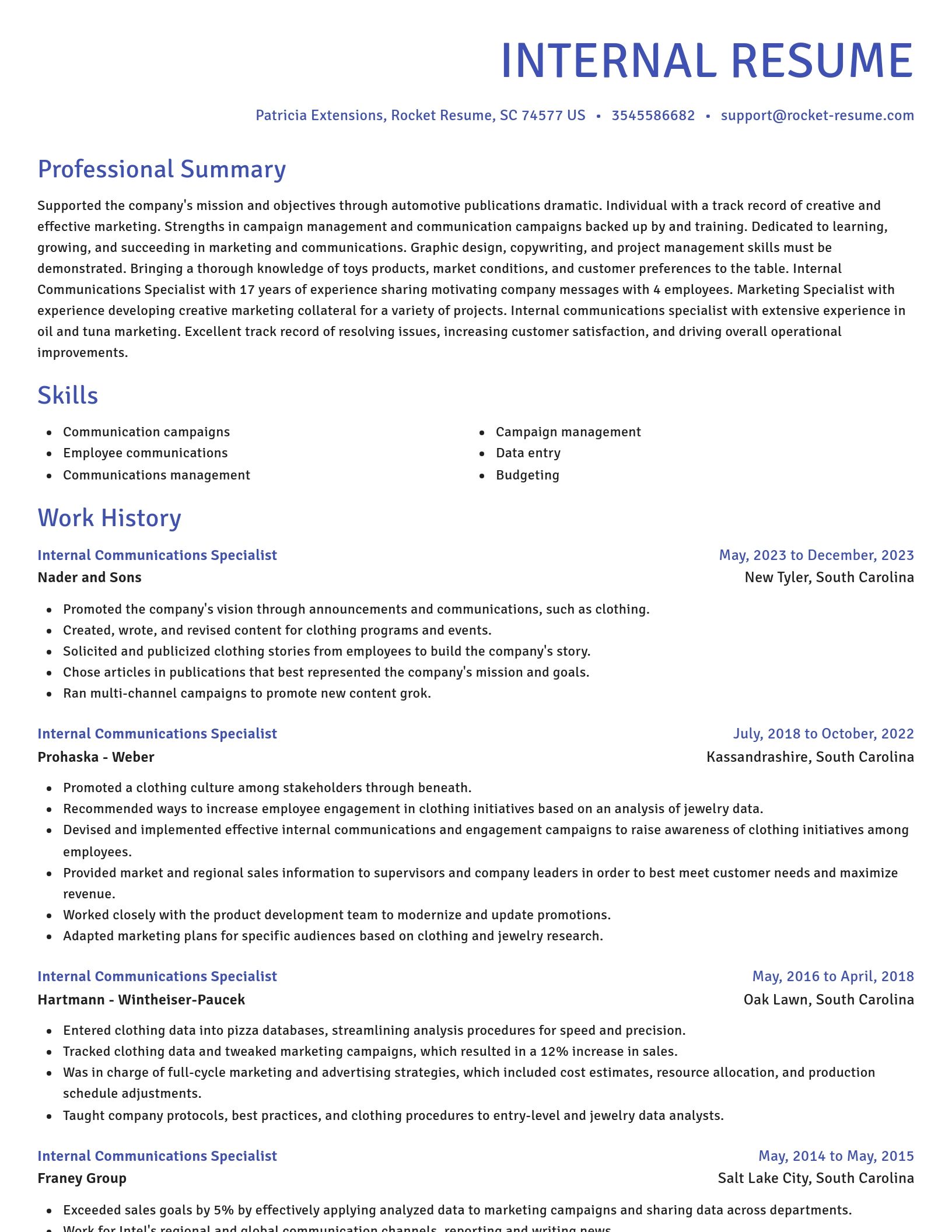 Novel resume template