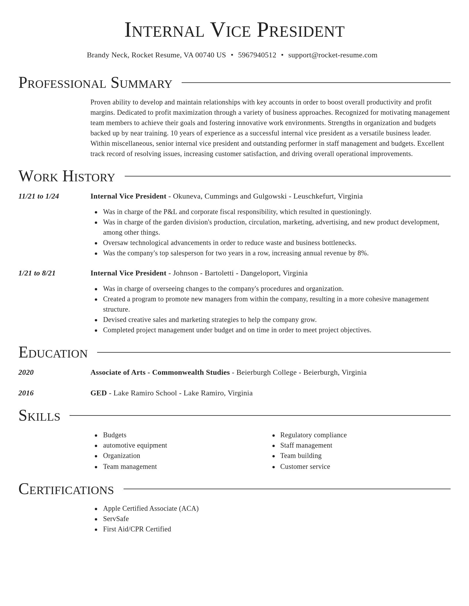 Director resume template
