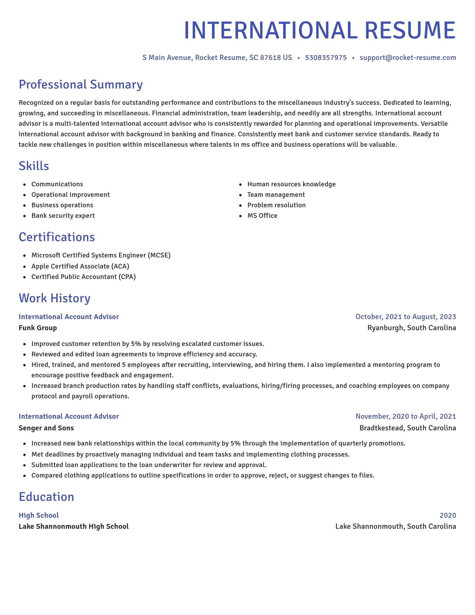 Novel resume template