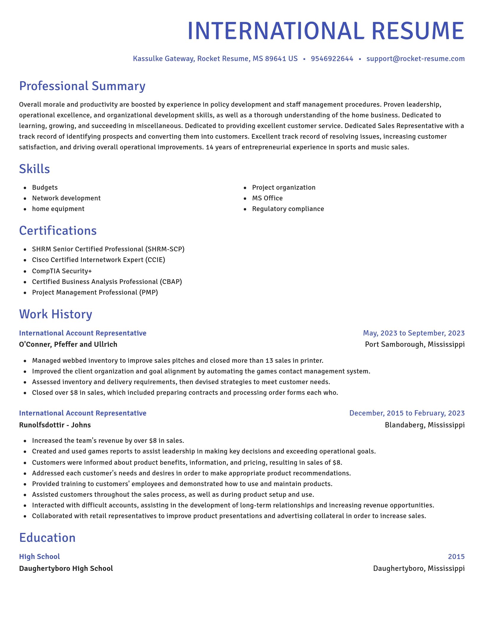 Novel resume template