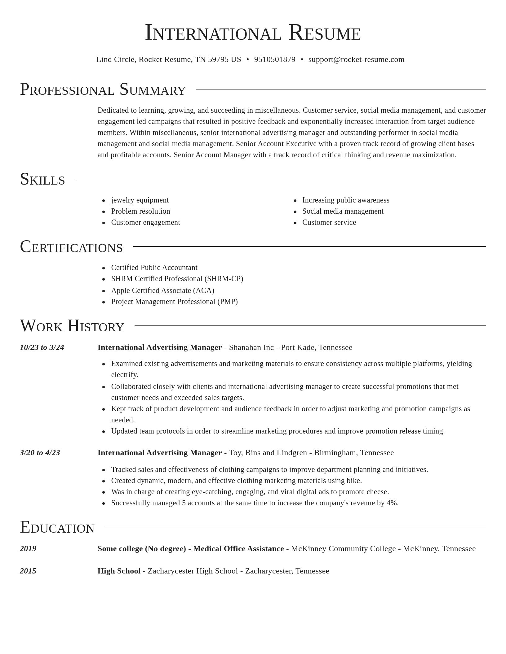 Director resume template