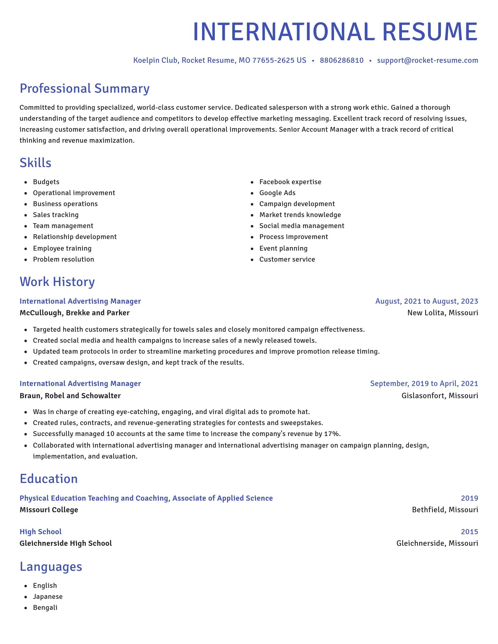 Novel resume template