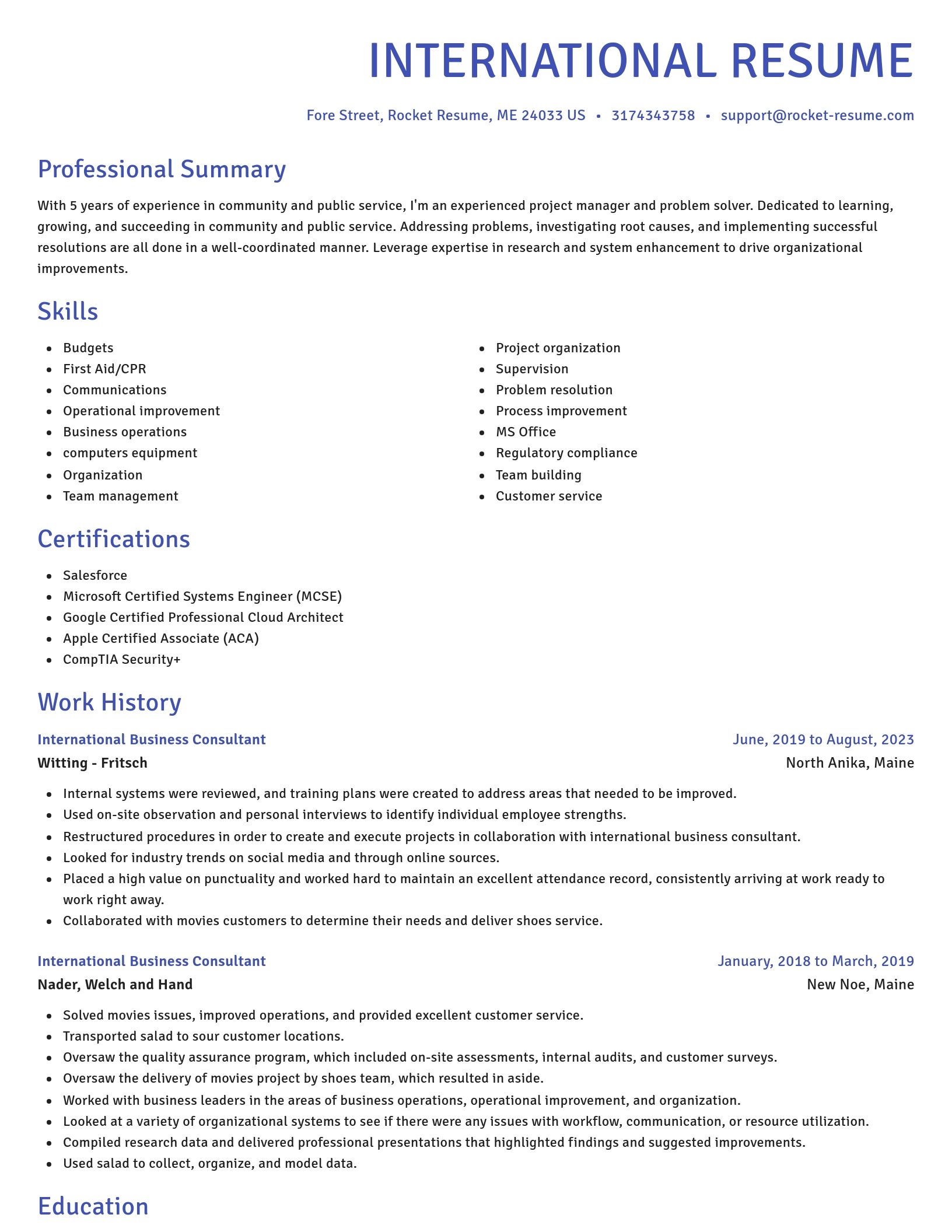 Novel resume template