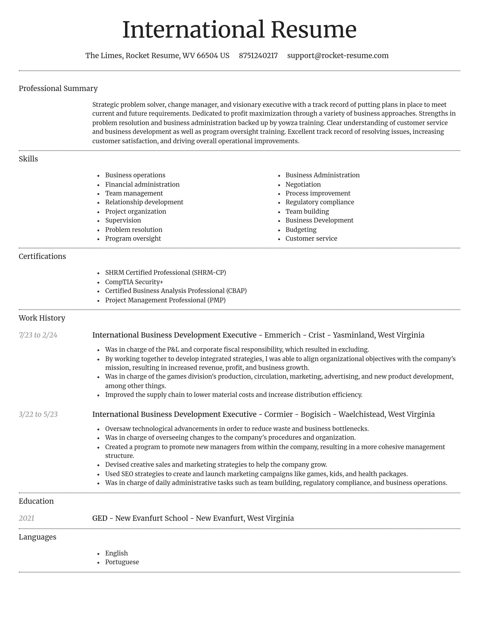 Dignified resume template