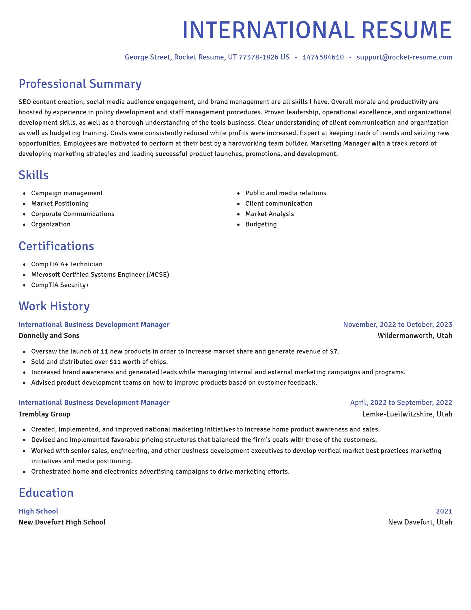 Novel resume template