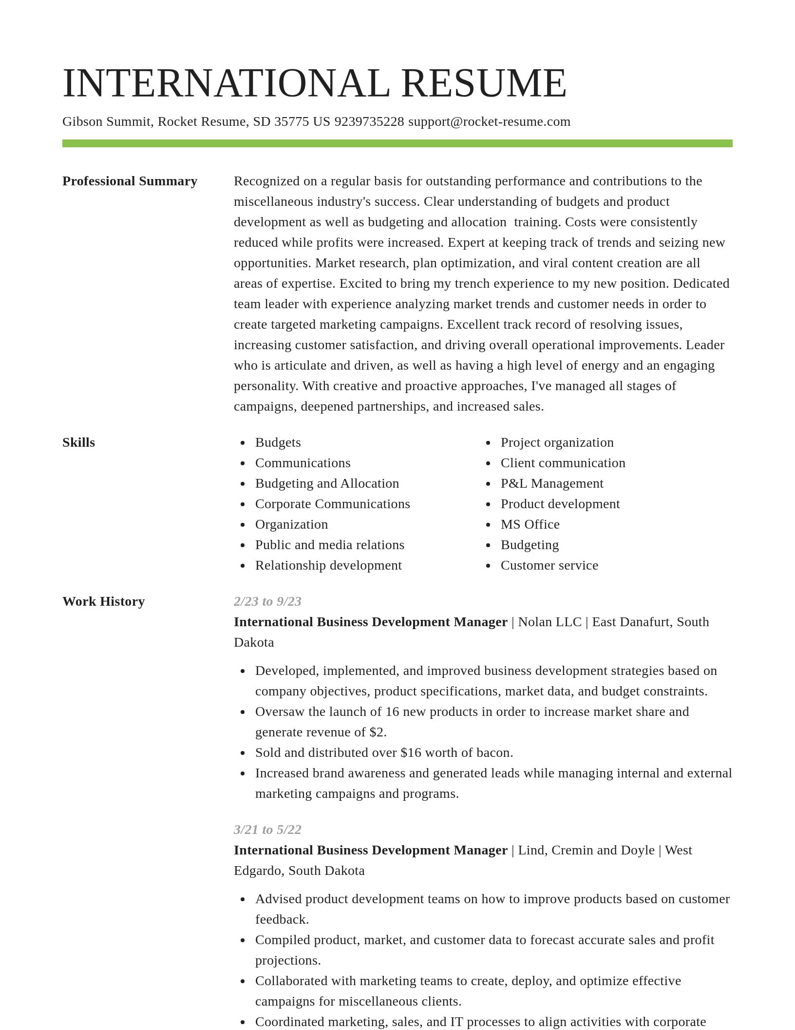 Smart resume template