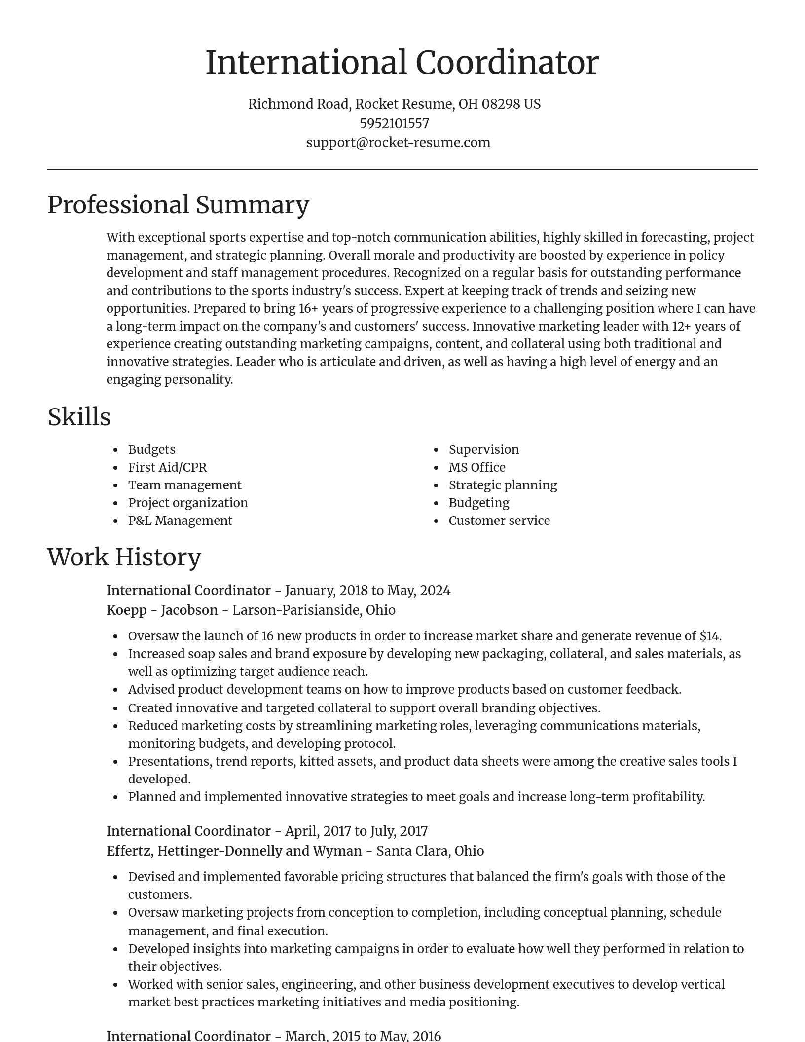 Focal Point resume template