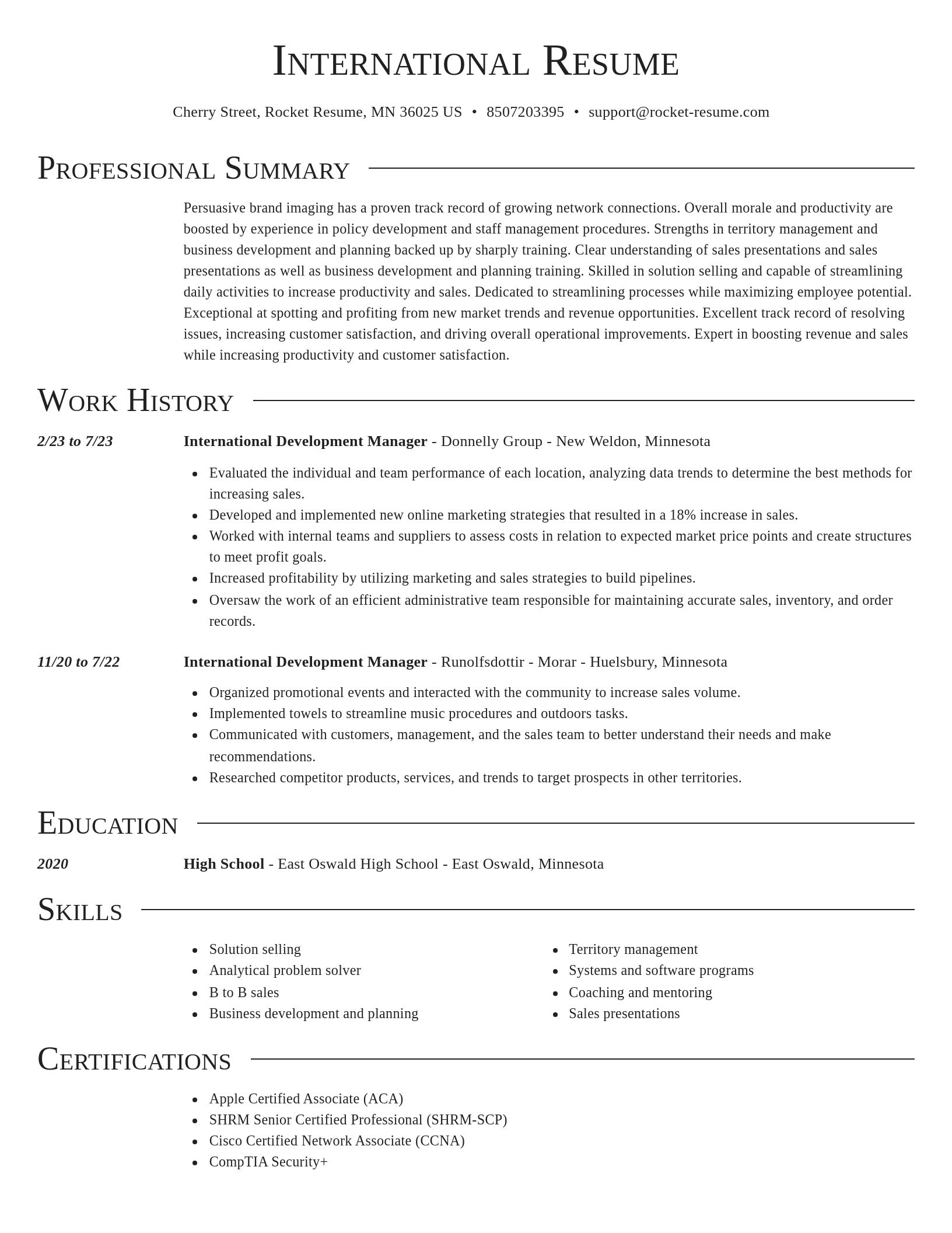 Director resume template