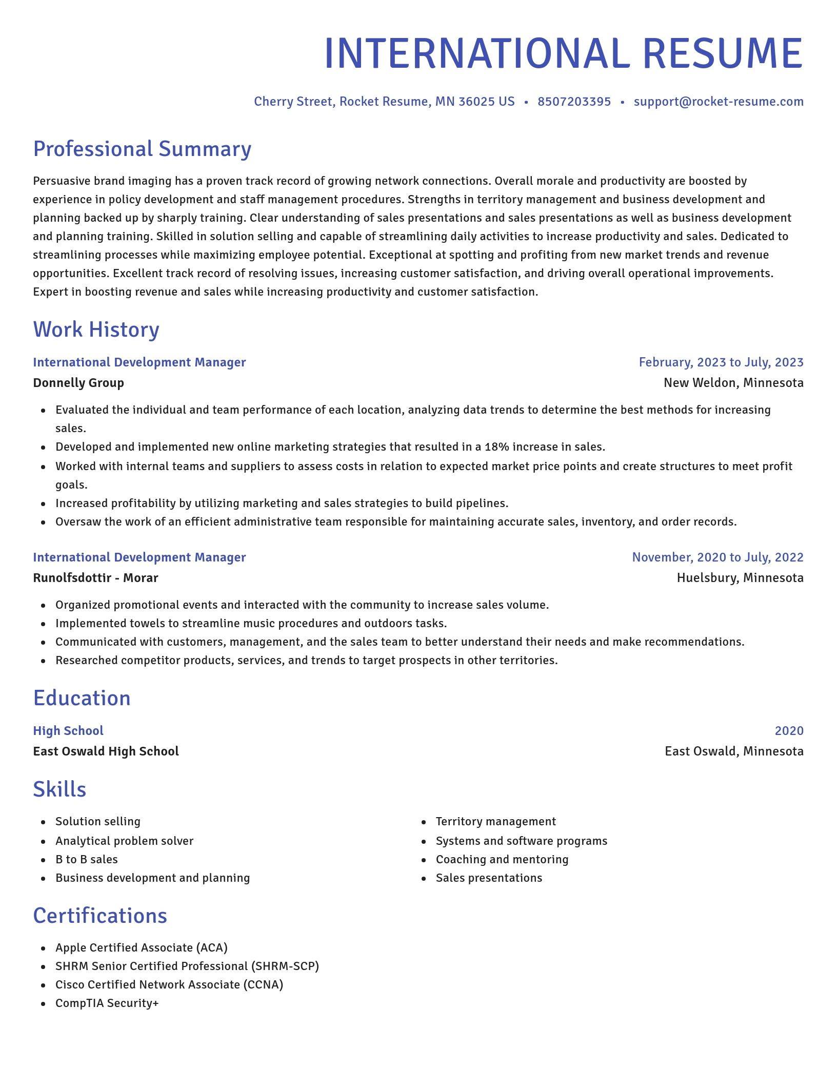 Novel resume template
