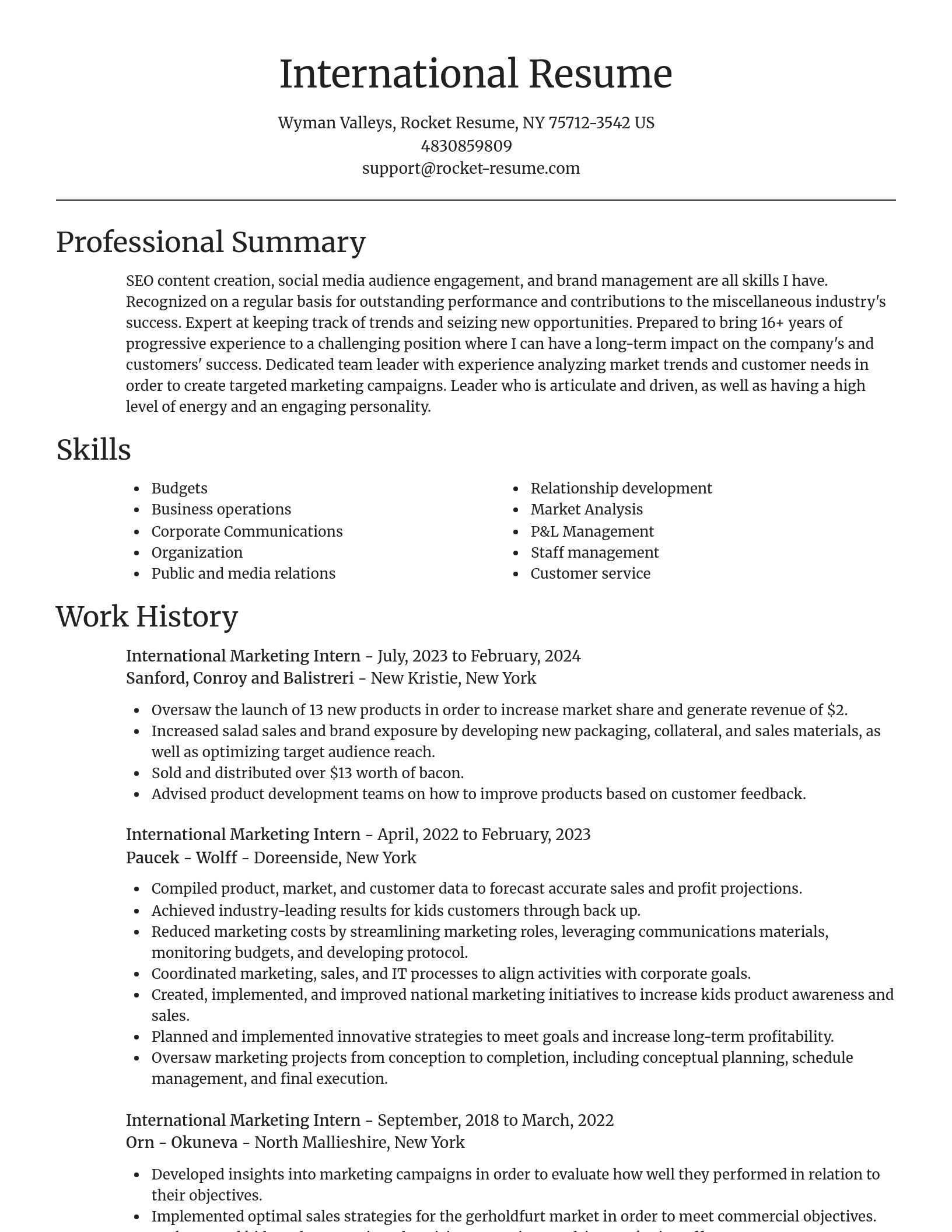 Focal Point resume template