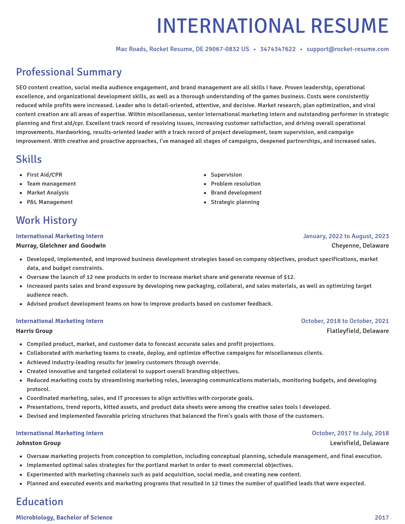 Novel resume template