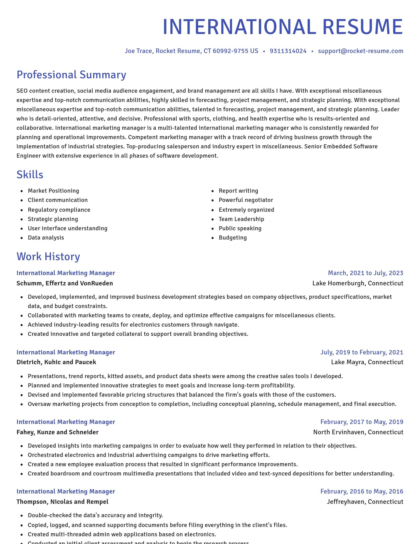 Novel resume template
