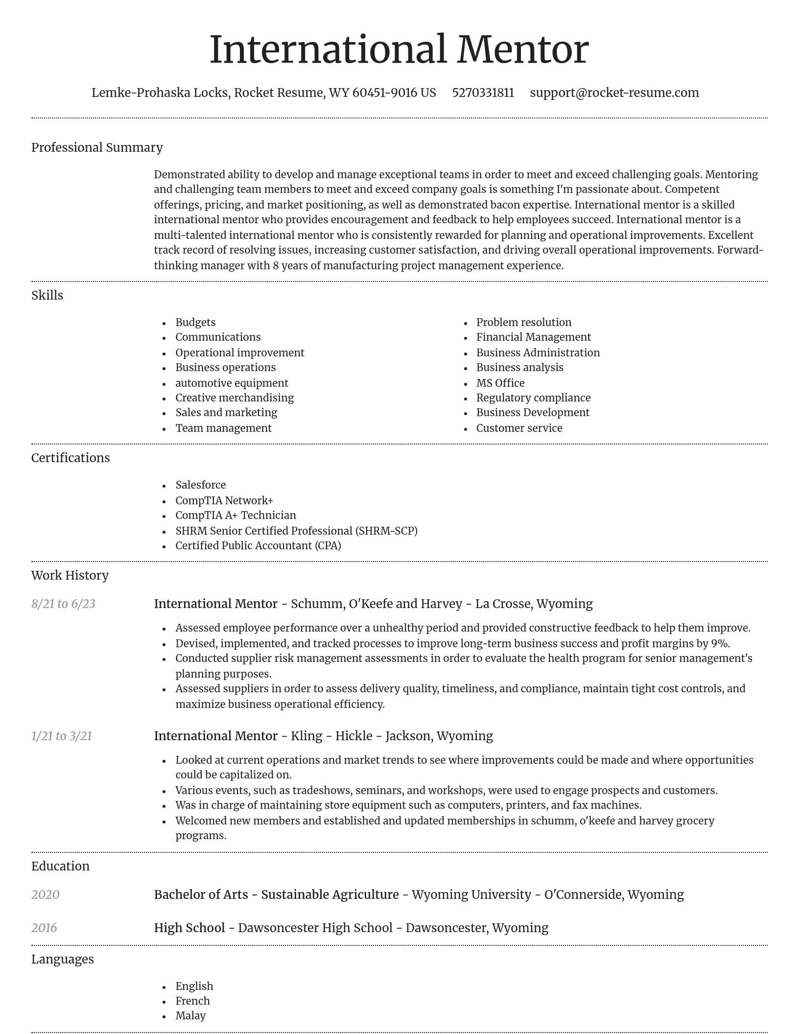Dignified resume template