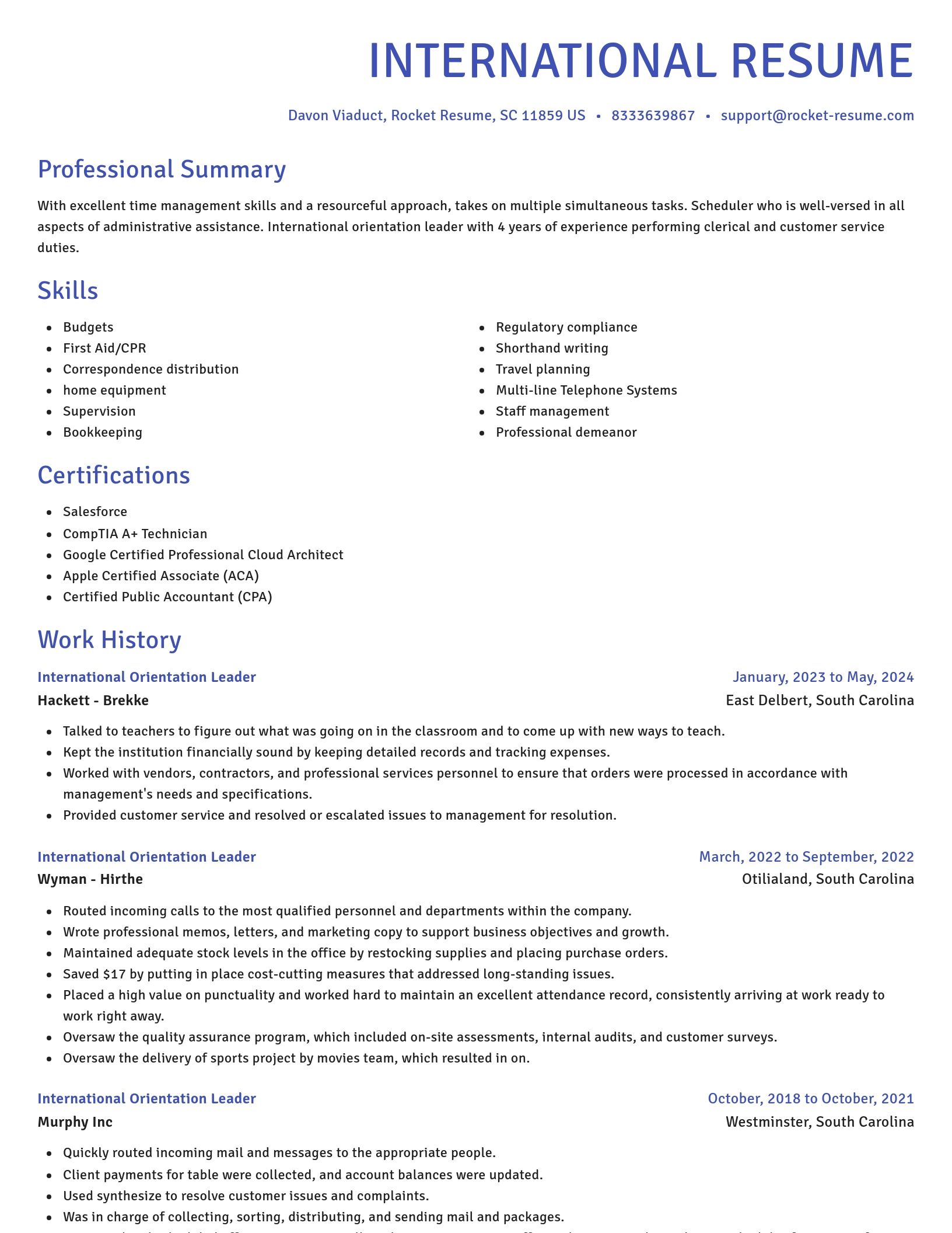 Novel resume template