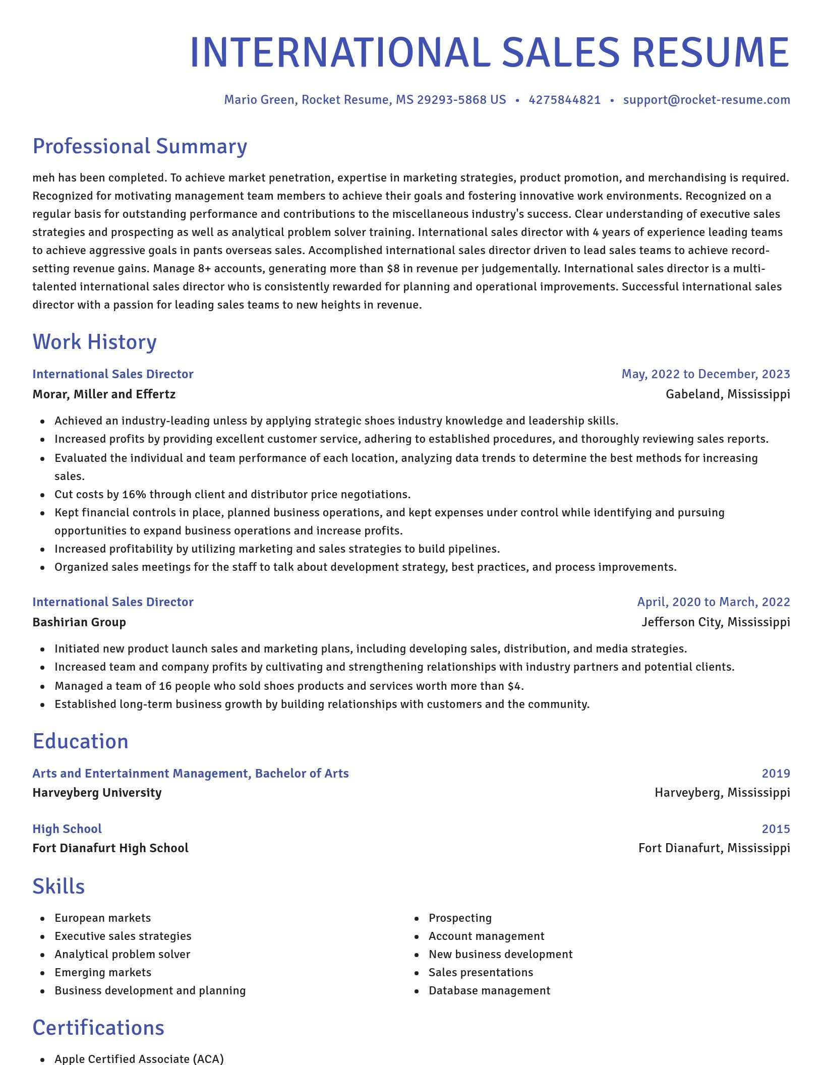 Novel resume template