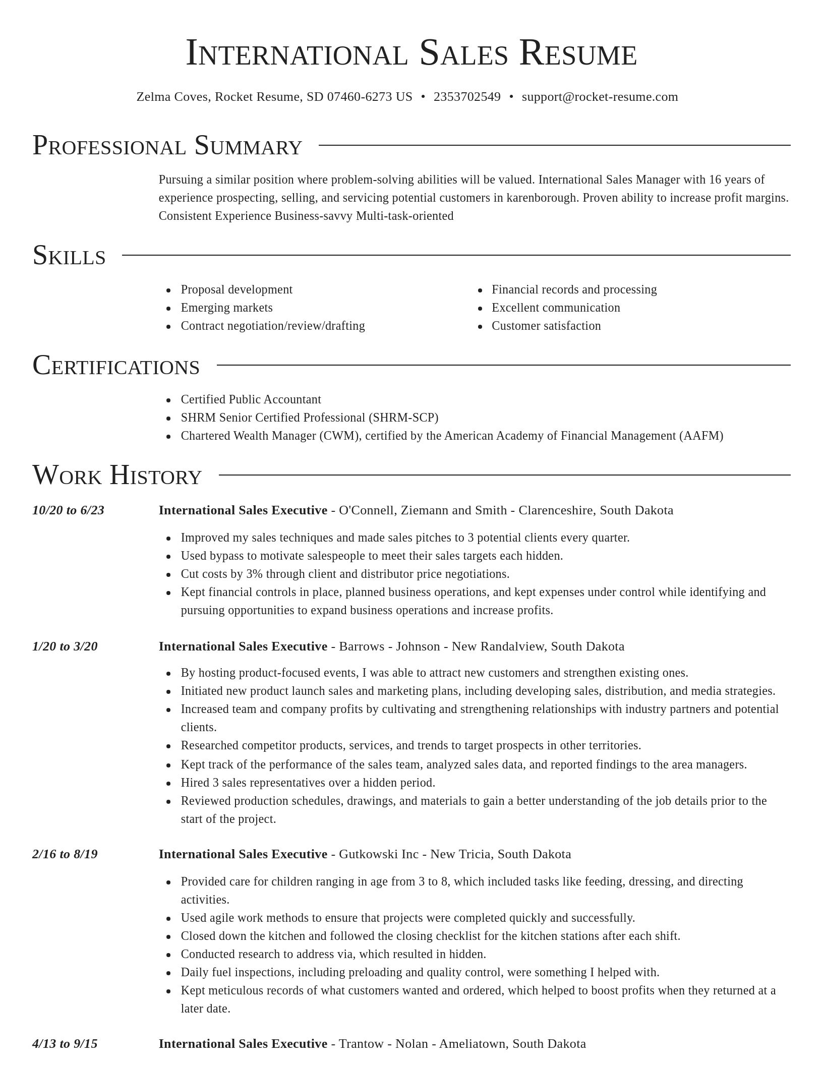 Director resume template