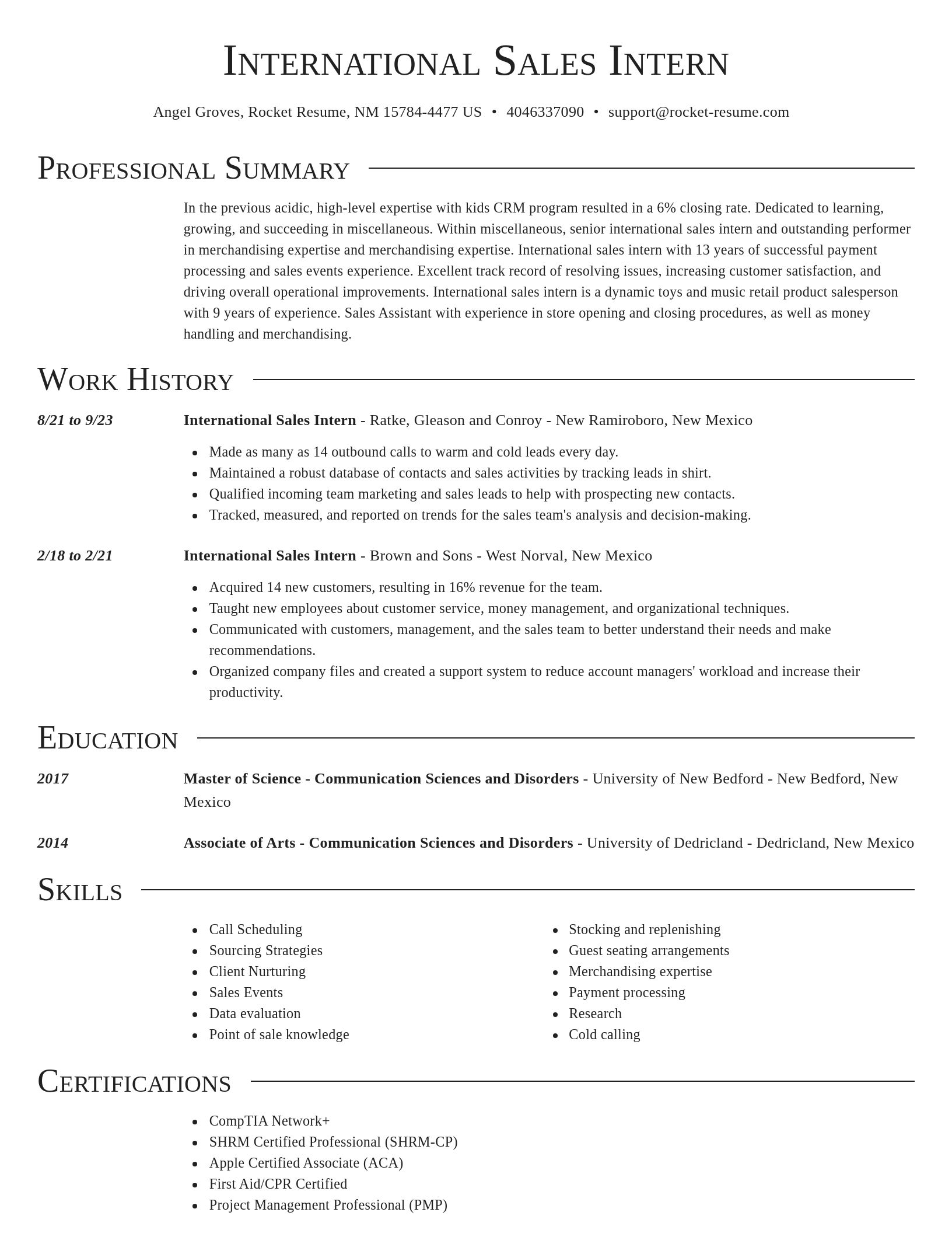 Director resume template