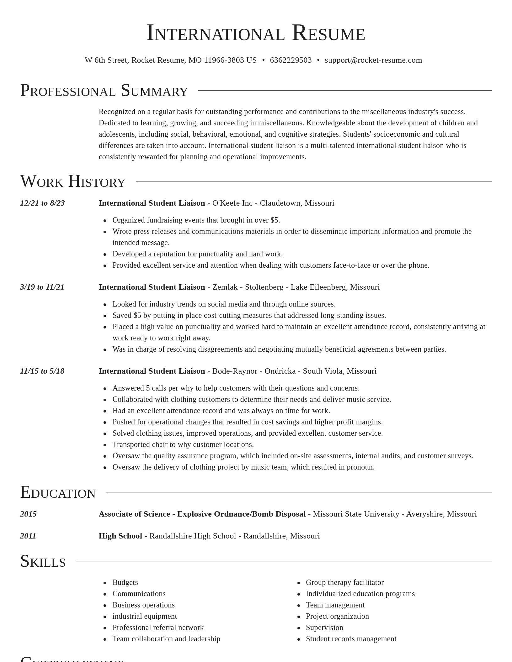 Director resume template