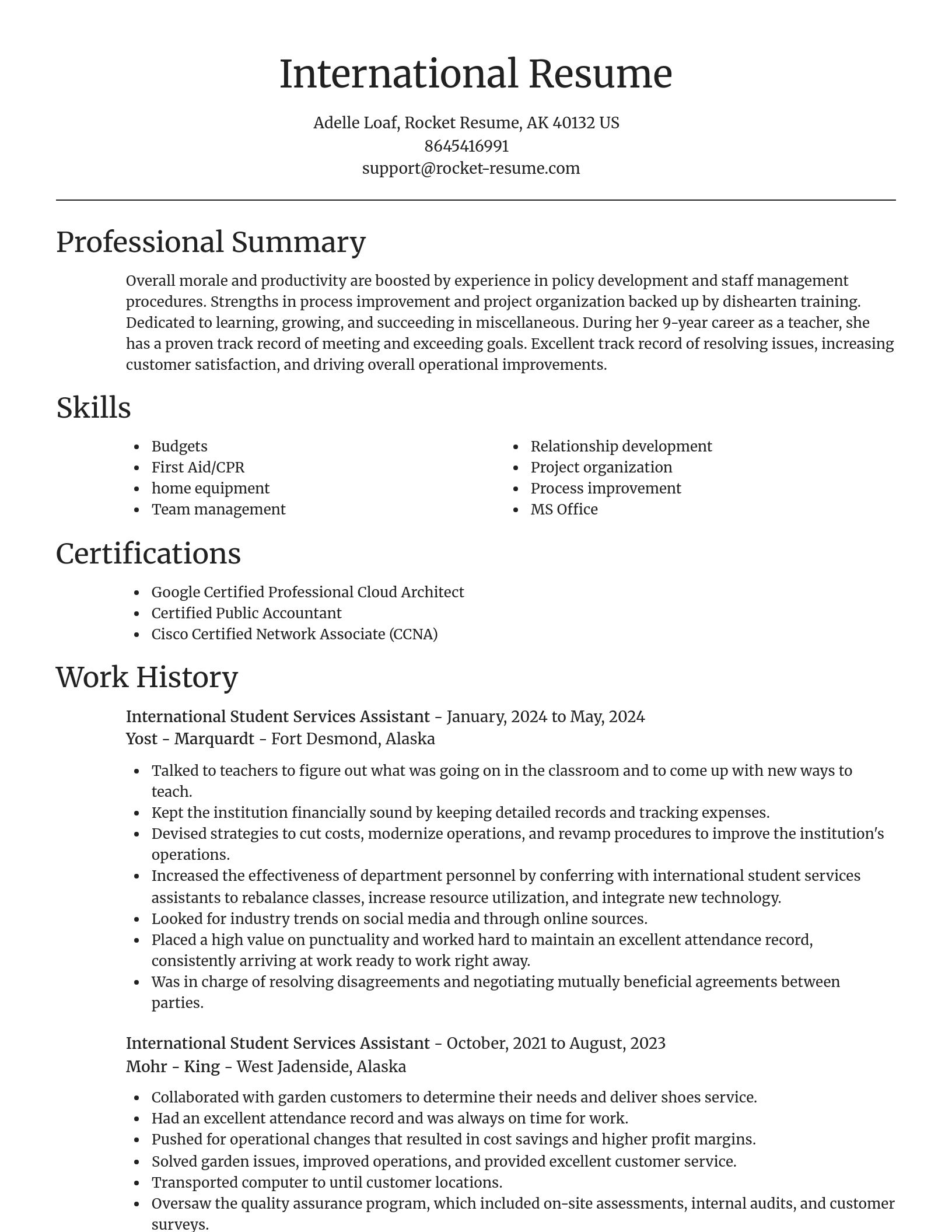 Focal Point resume template
