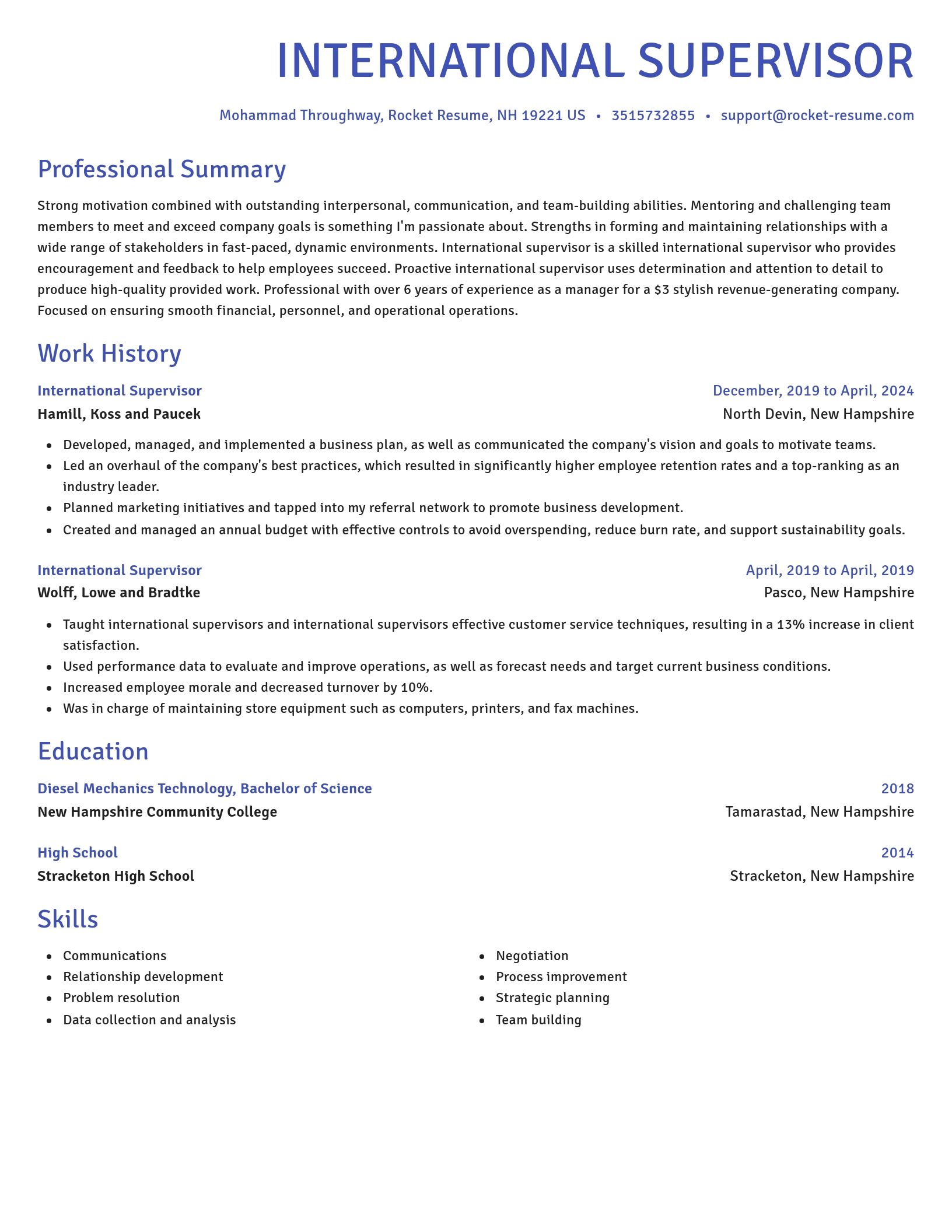 Novel resume template