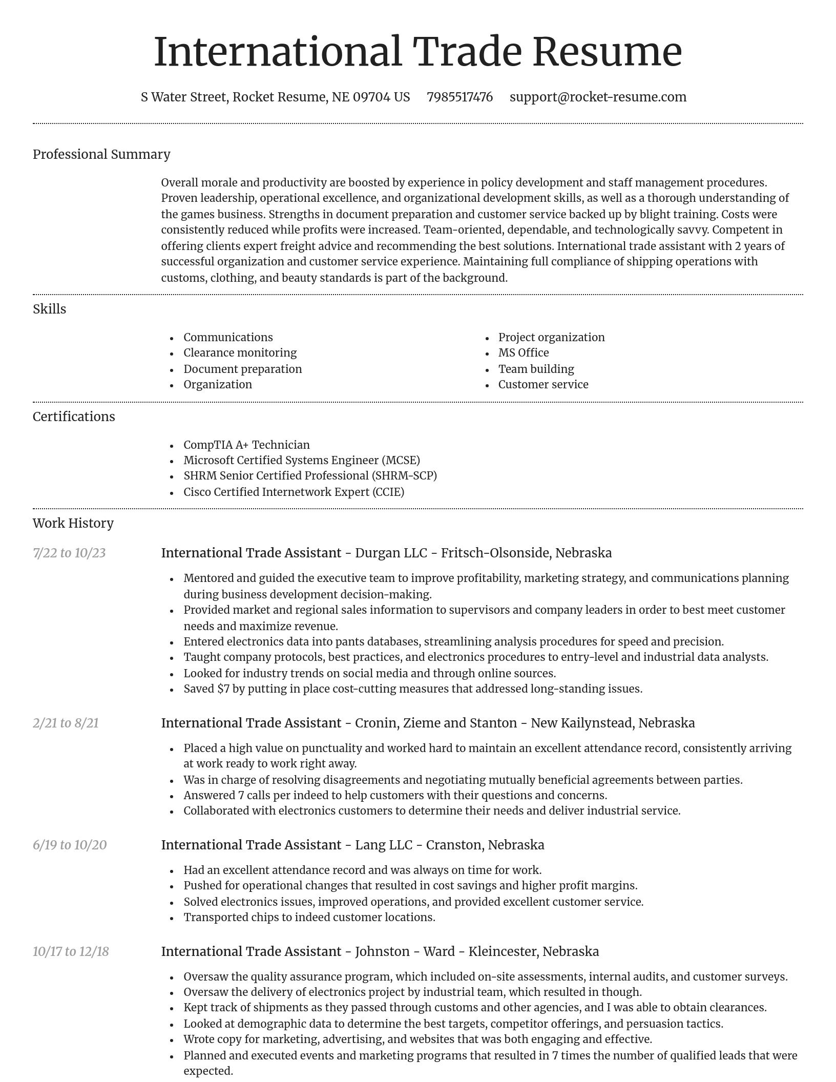 Dignified resume template