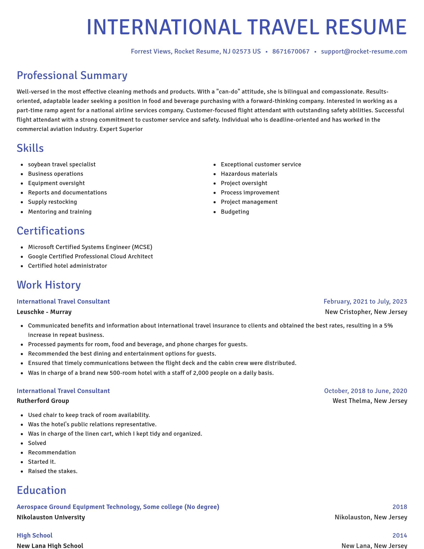 Novel resume template