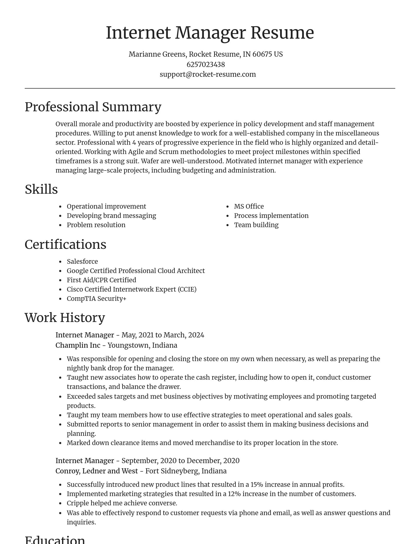 Focal Point resume template