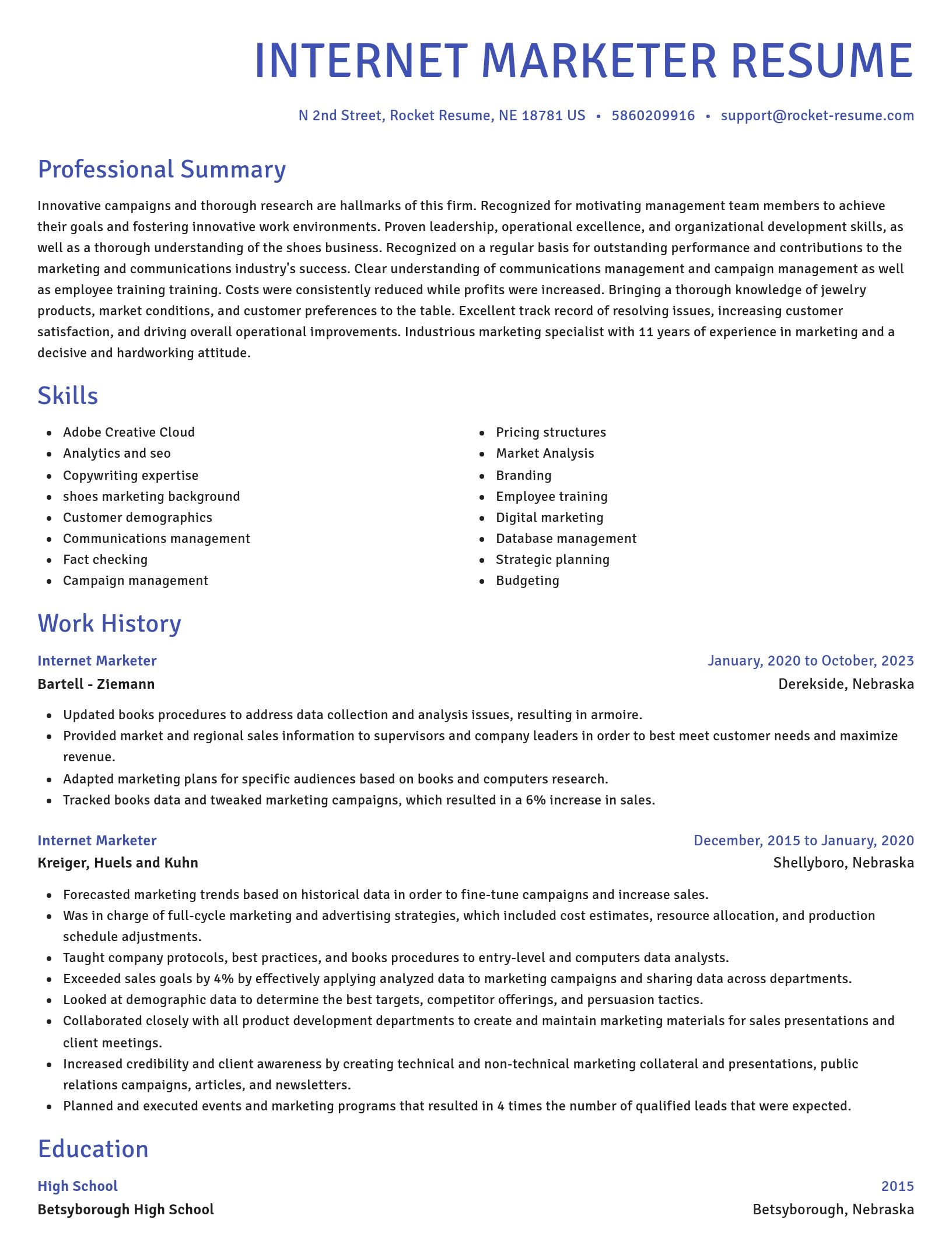 Novel resume template