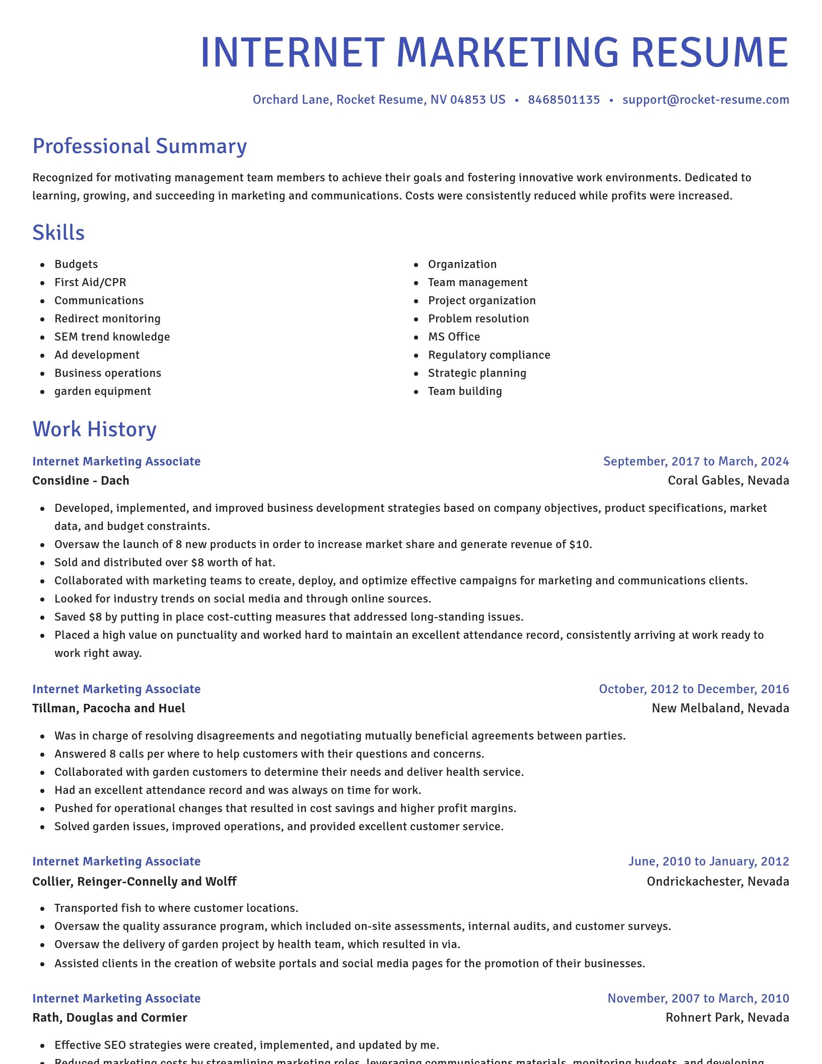 Novel resume template