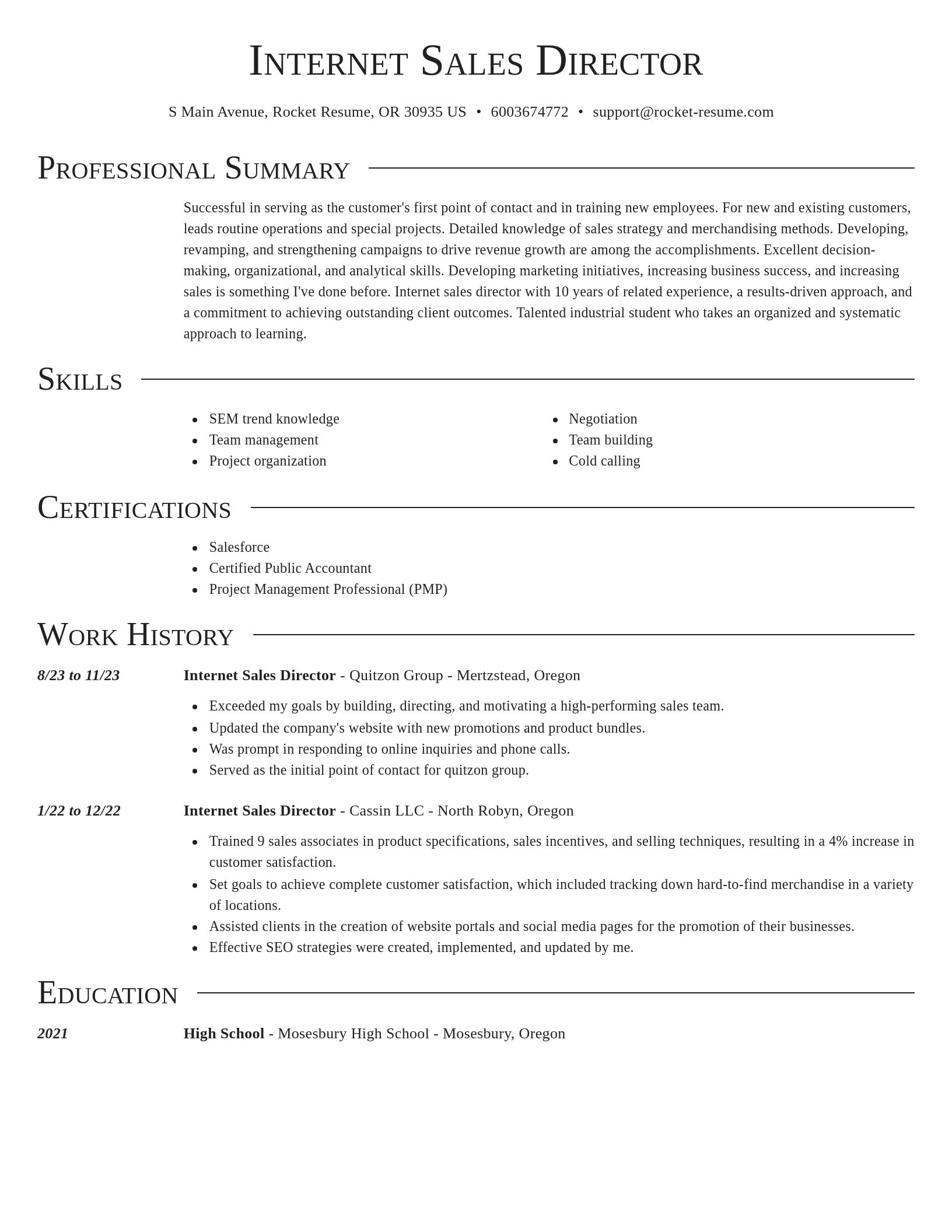 Director resume template