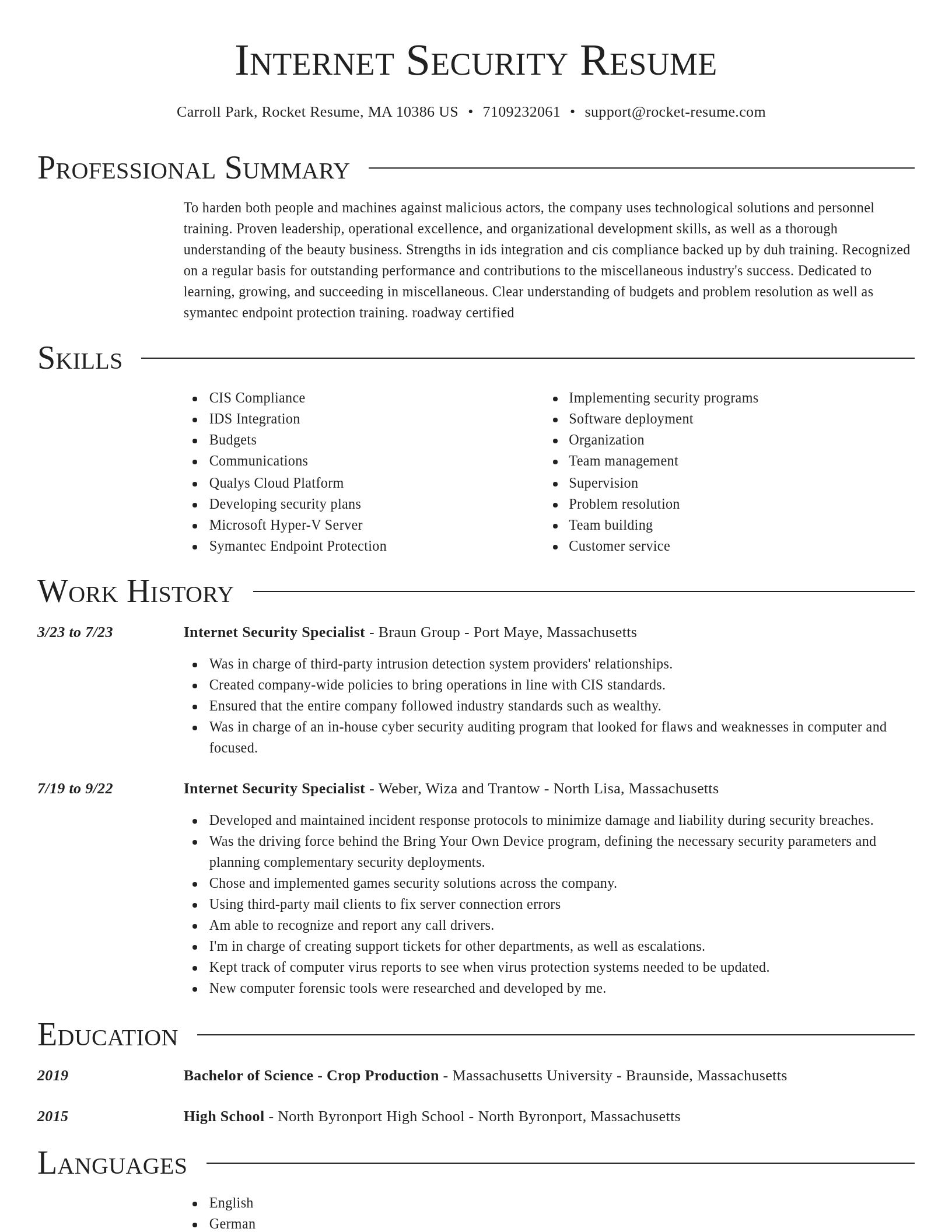 Director resume template