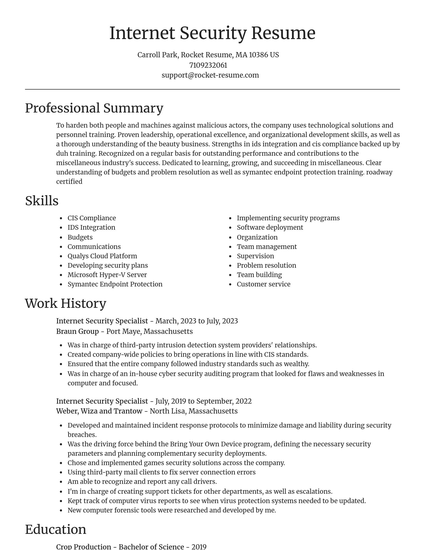 Focal Point resume template
