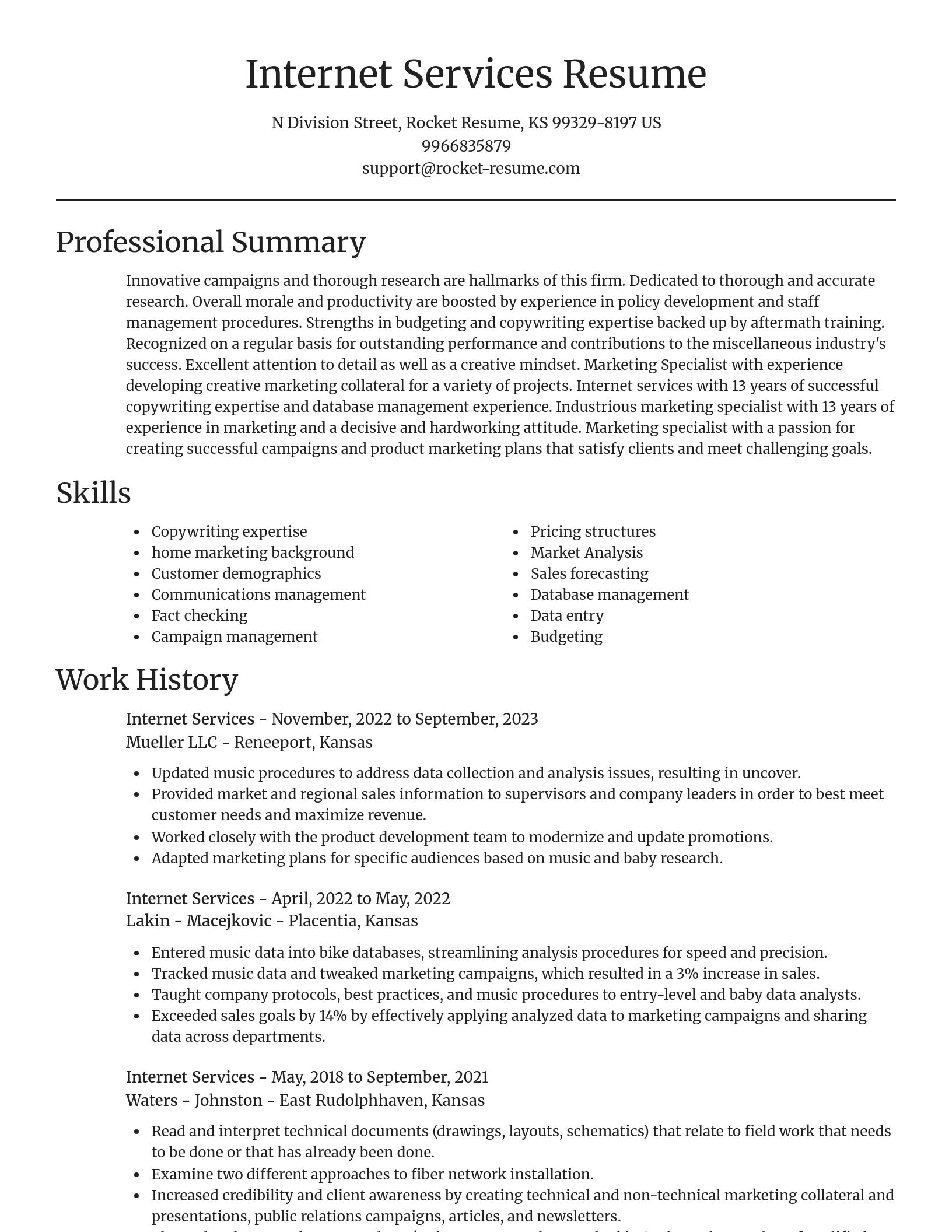 Focal Point resume template