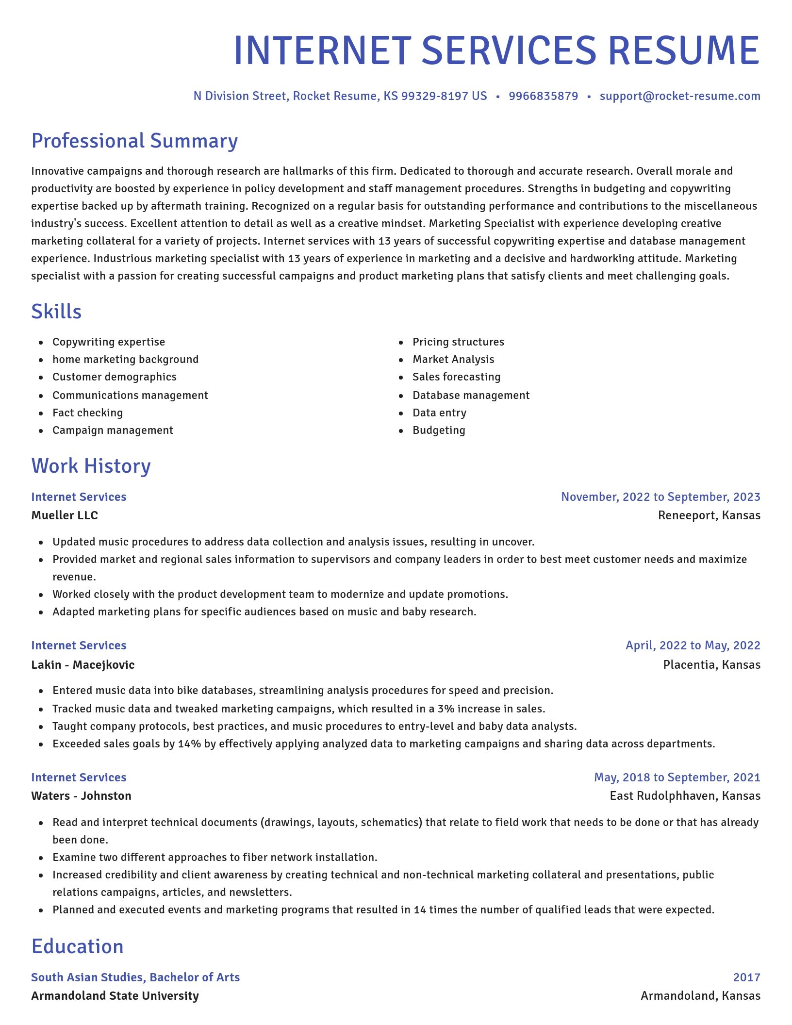Novel resume template