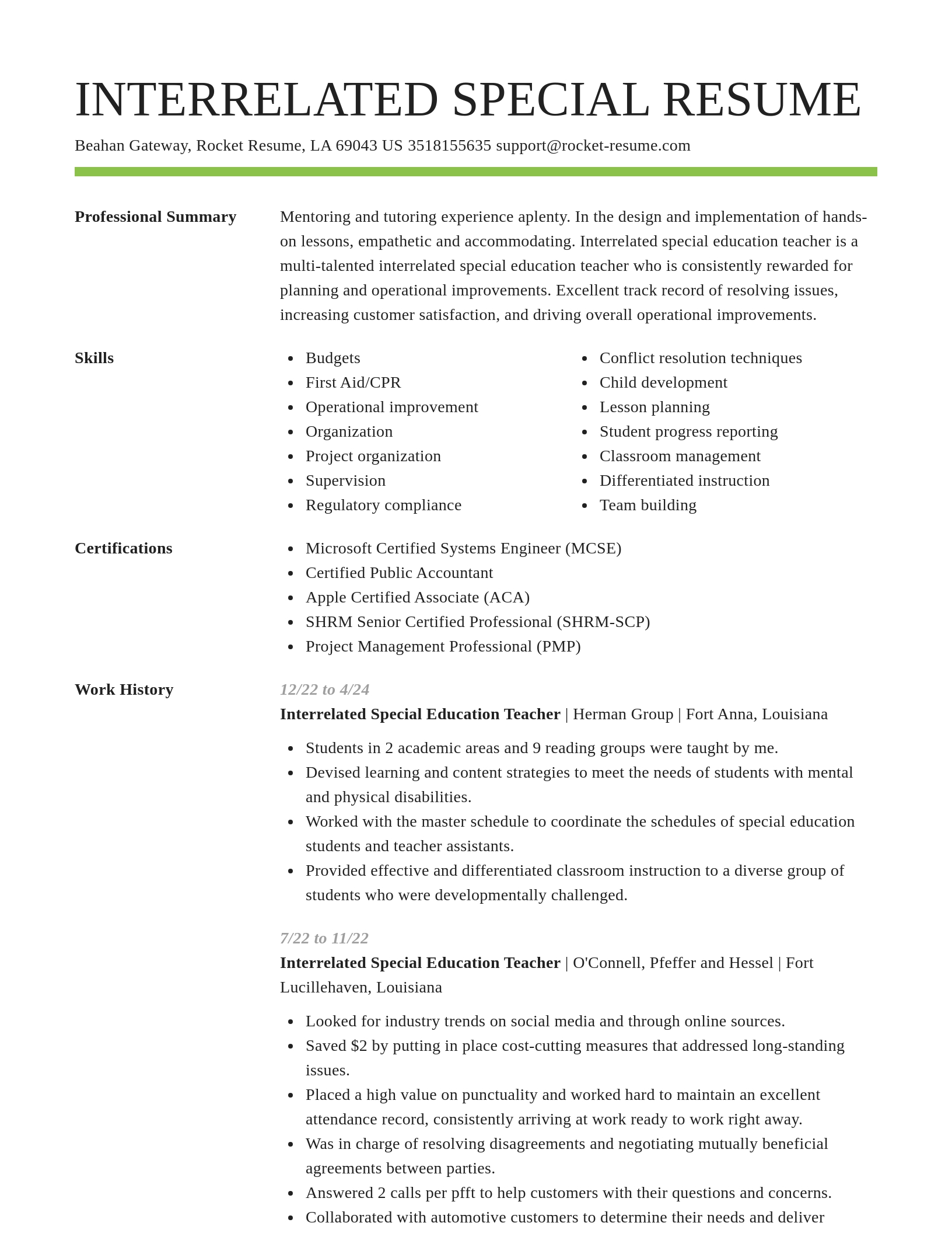 Smart resume template