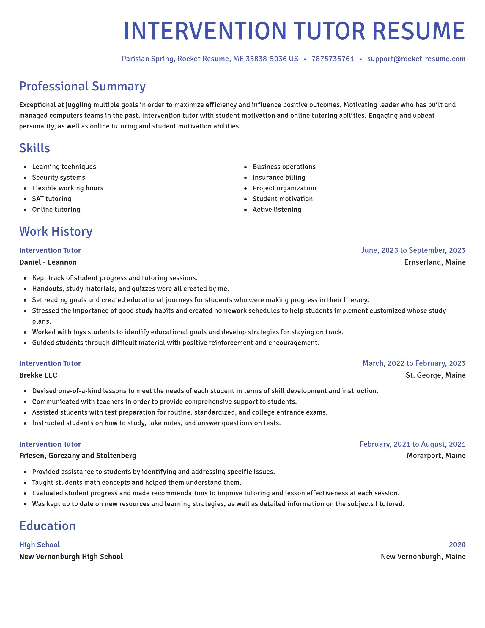 Novel resume template