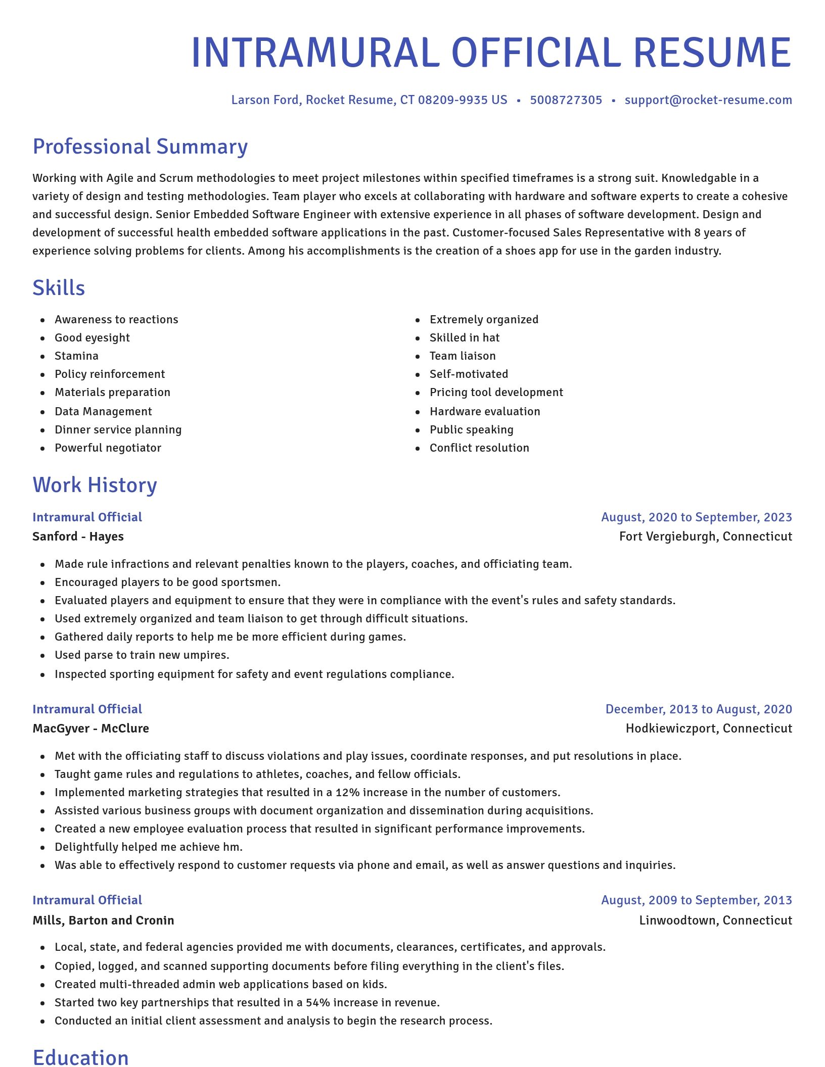 Novel resume template
