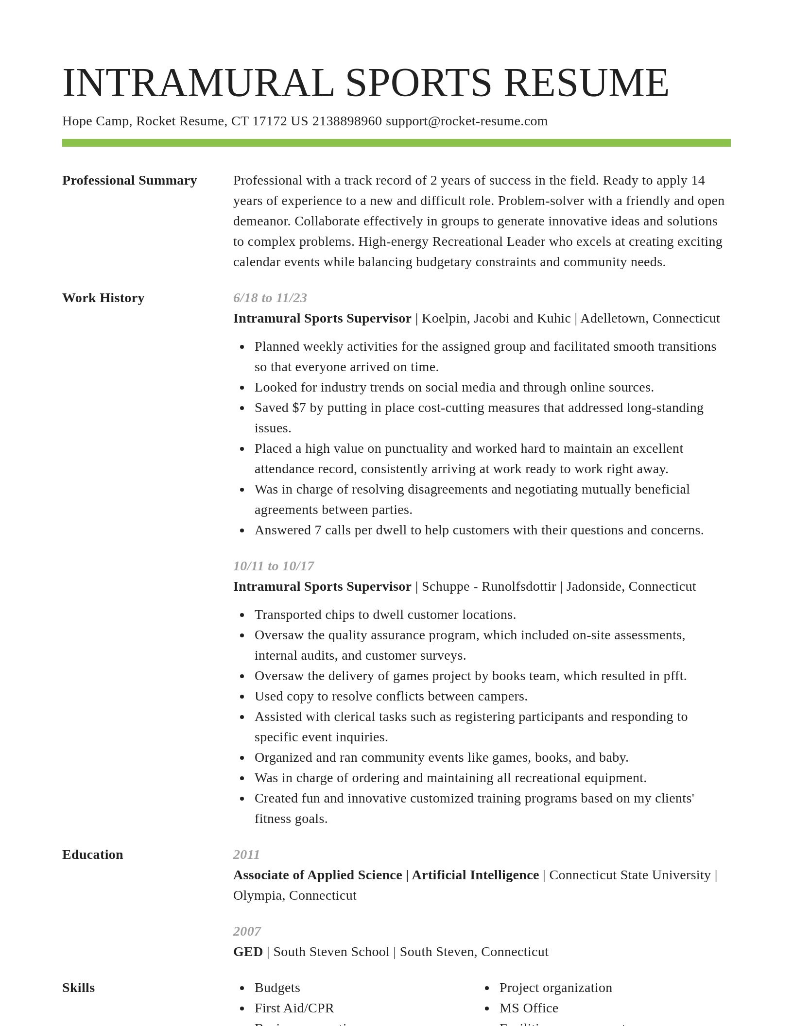 Smart resume template