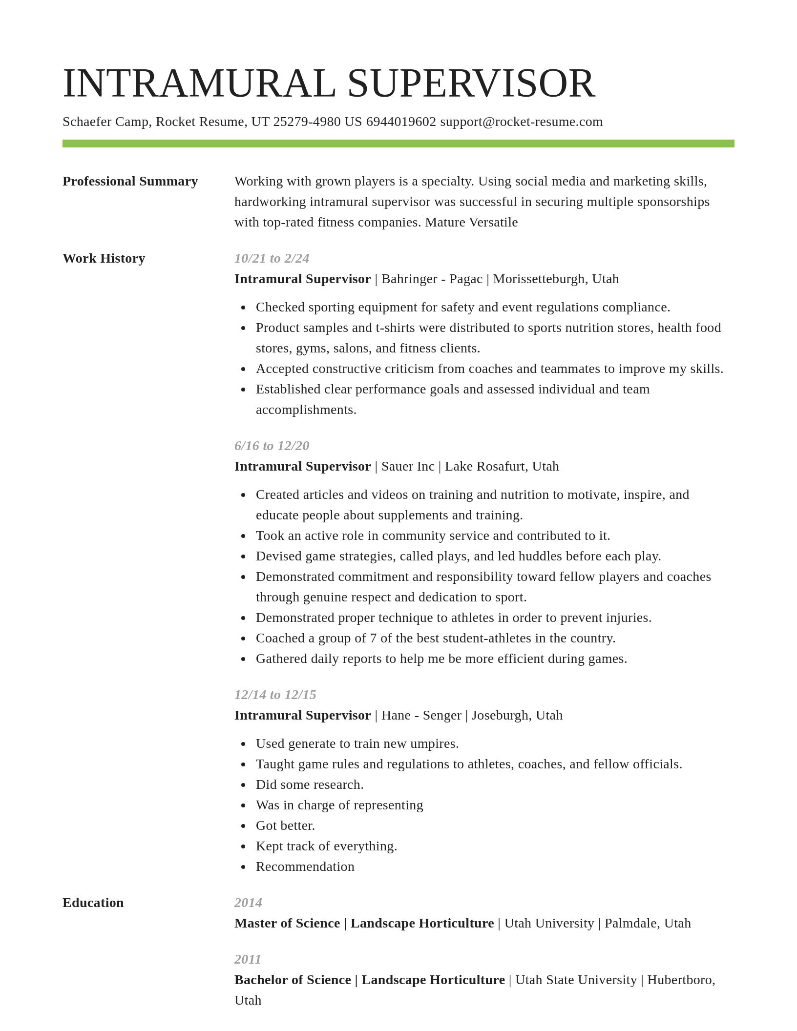 Smart resume template
