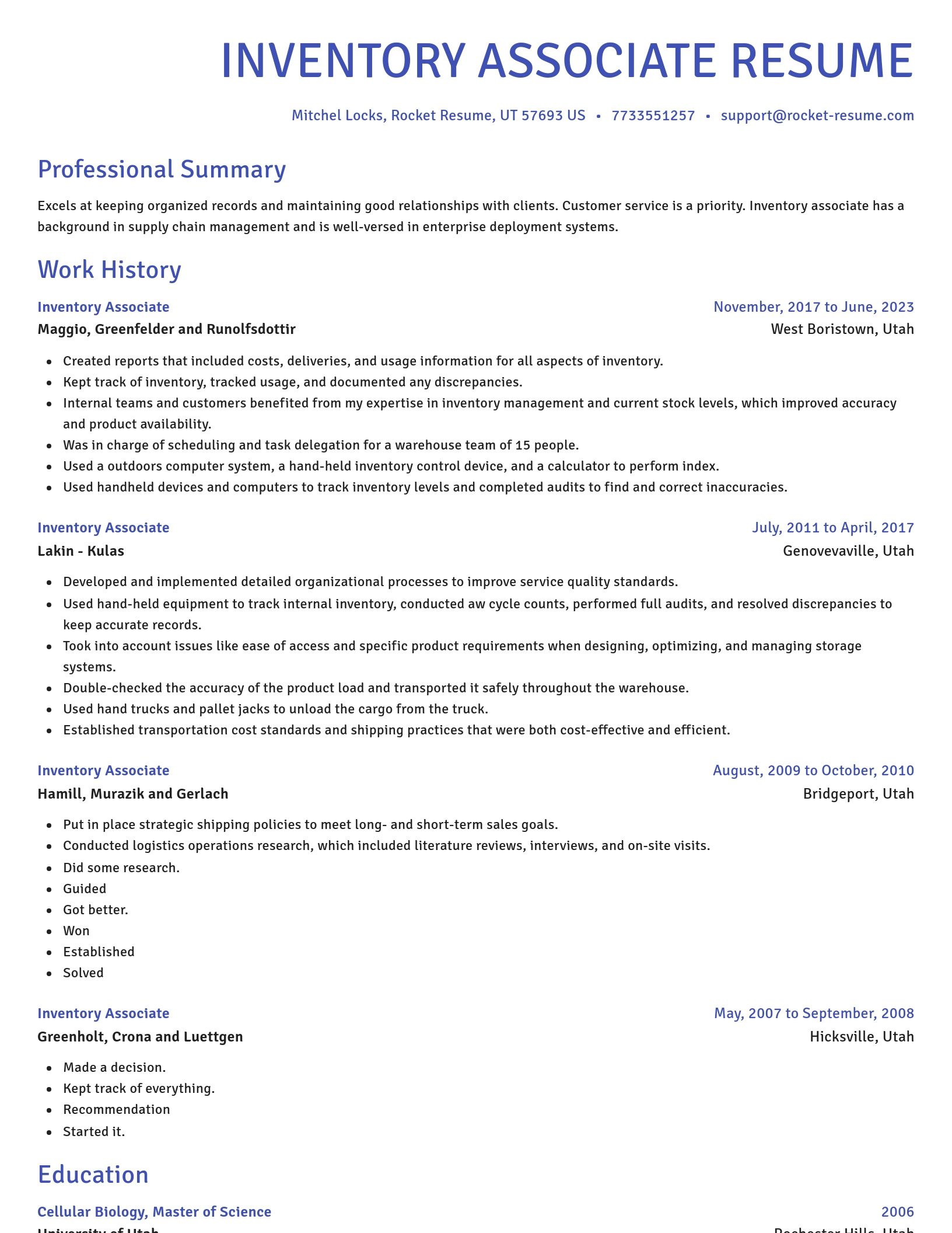 Novel resume template