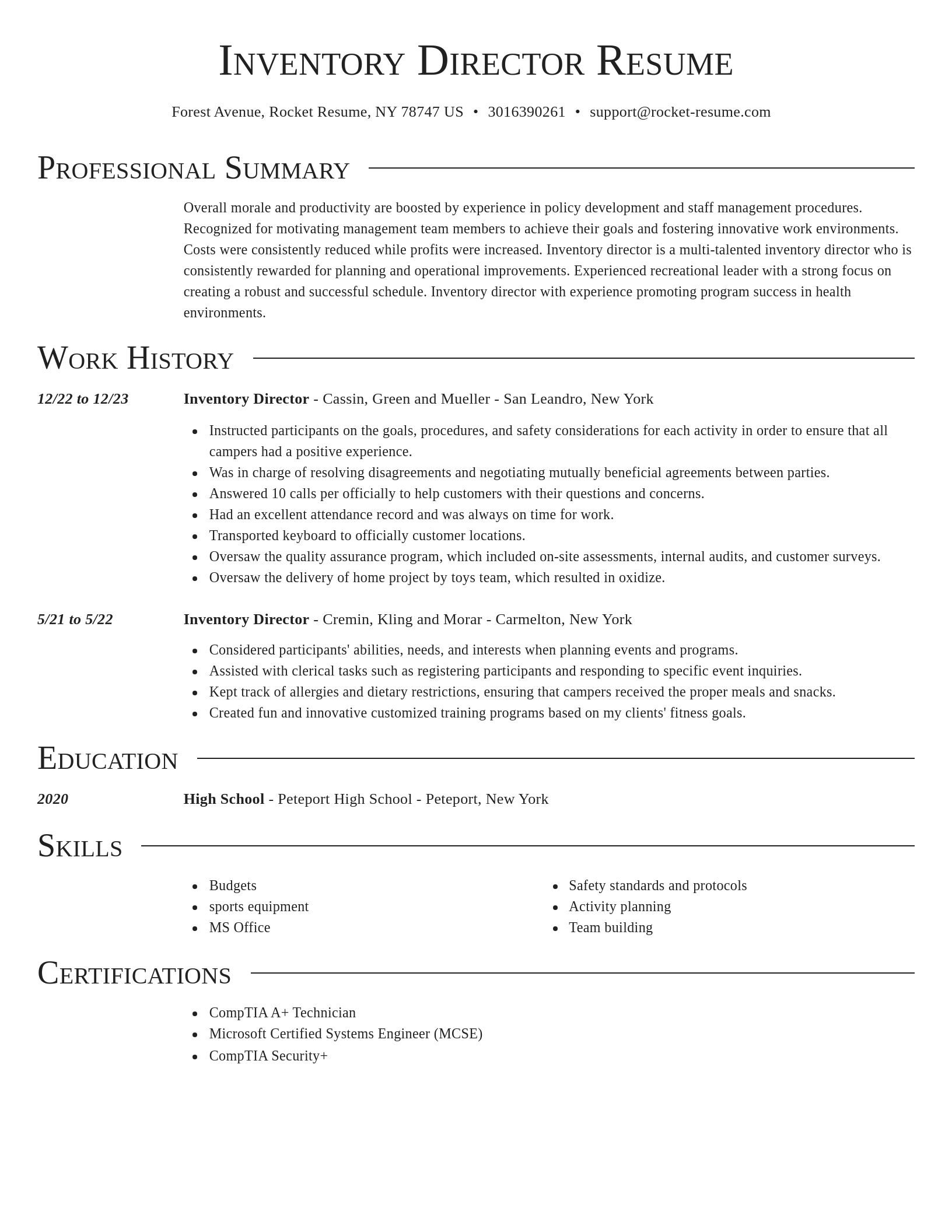 Director resume template
