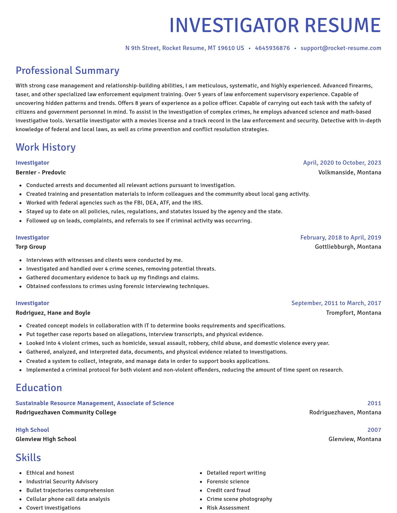 Novel resume template